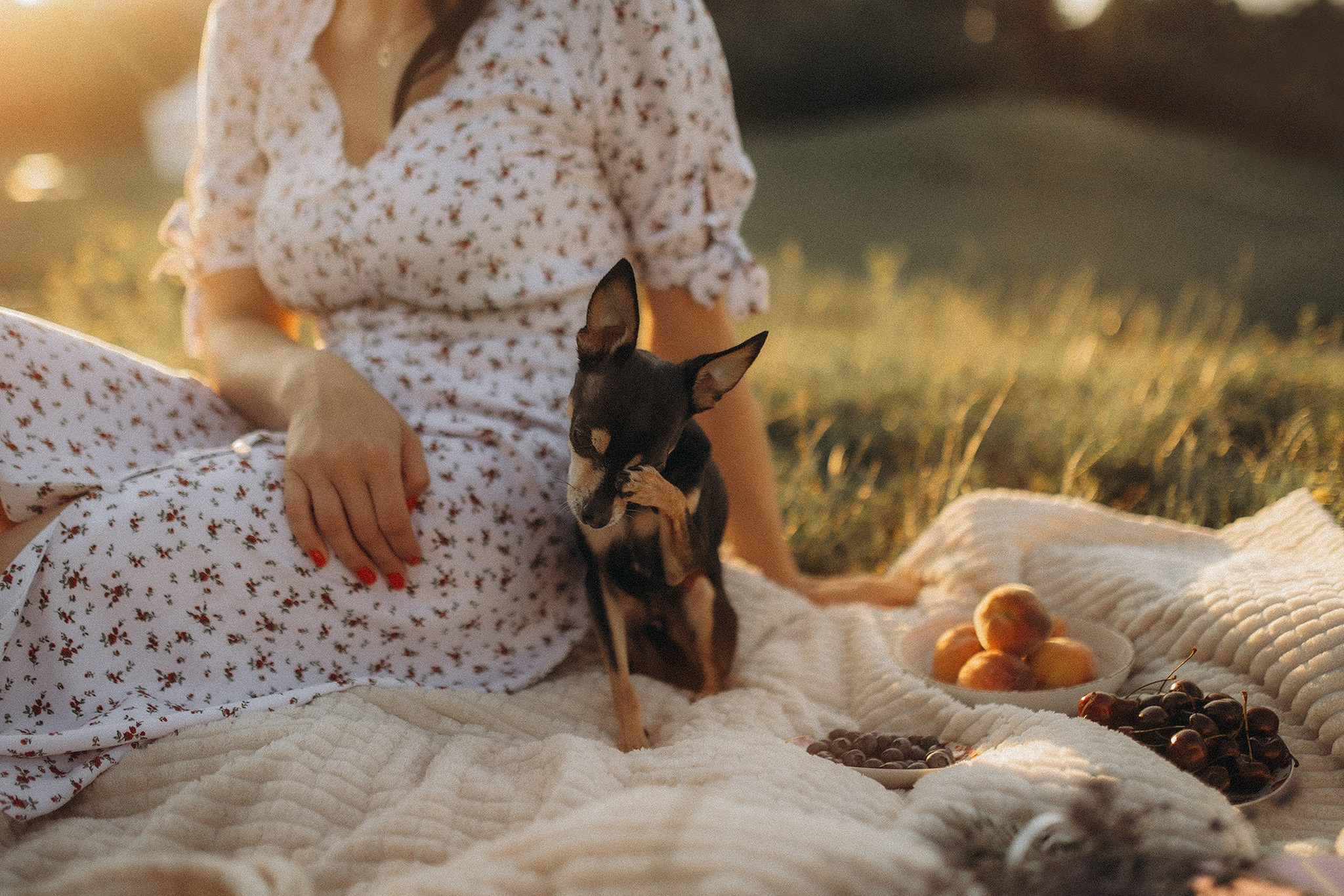 Чівас і Таня. Фотограф-анімаліст Київ