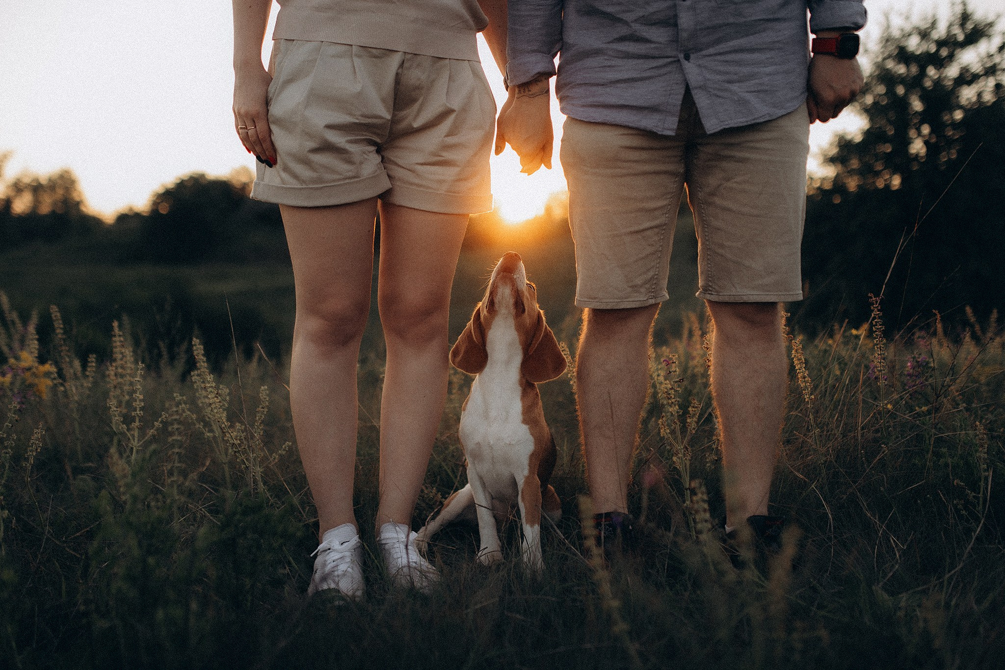 Родина Рей. Фотограф-анімаліст Київ