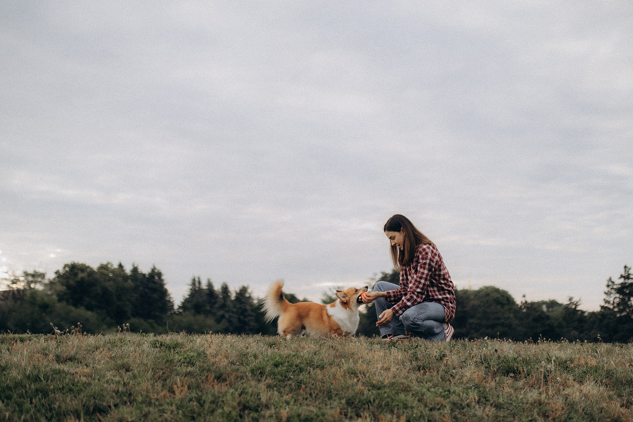 Руді та Ксюша. Фотограф-анімаліст Київ