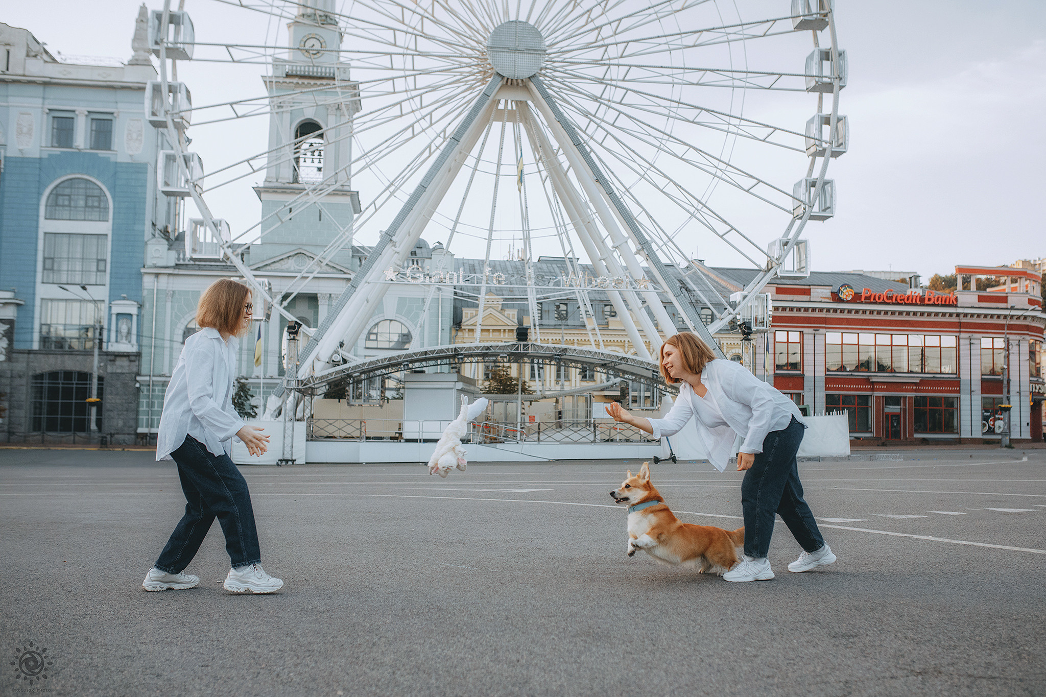 Родина Шерлока. Фотограф-анімаліст Київ