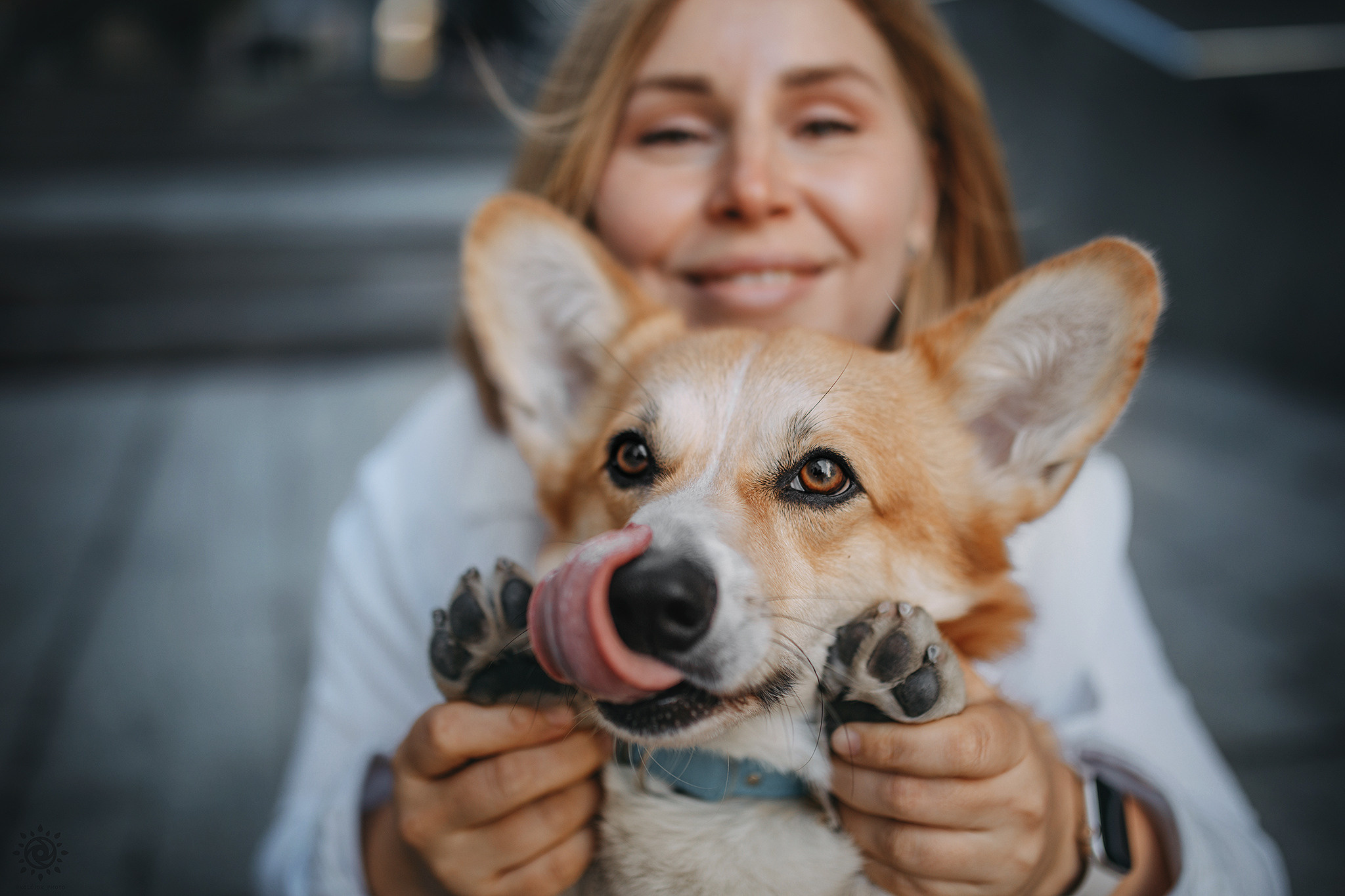 Родина Шерлока. Фотограф-анімаліст Київ