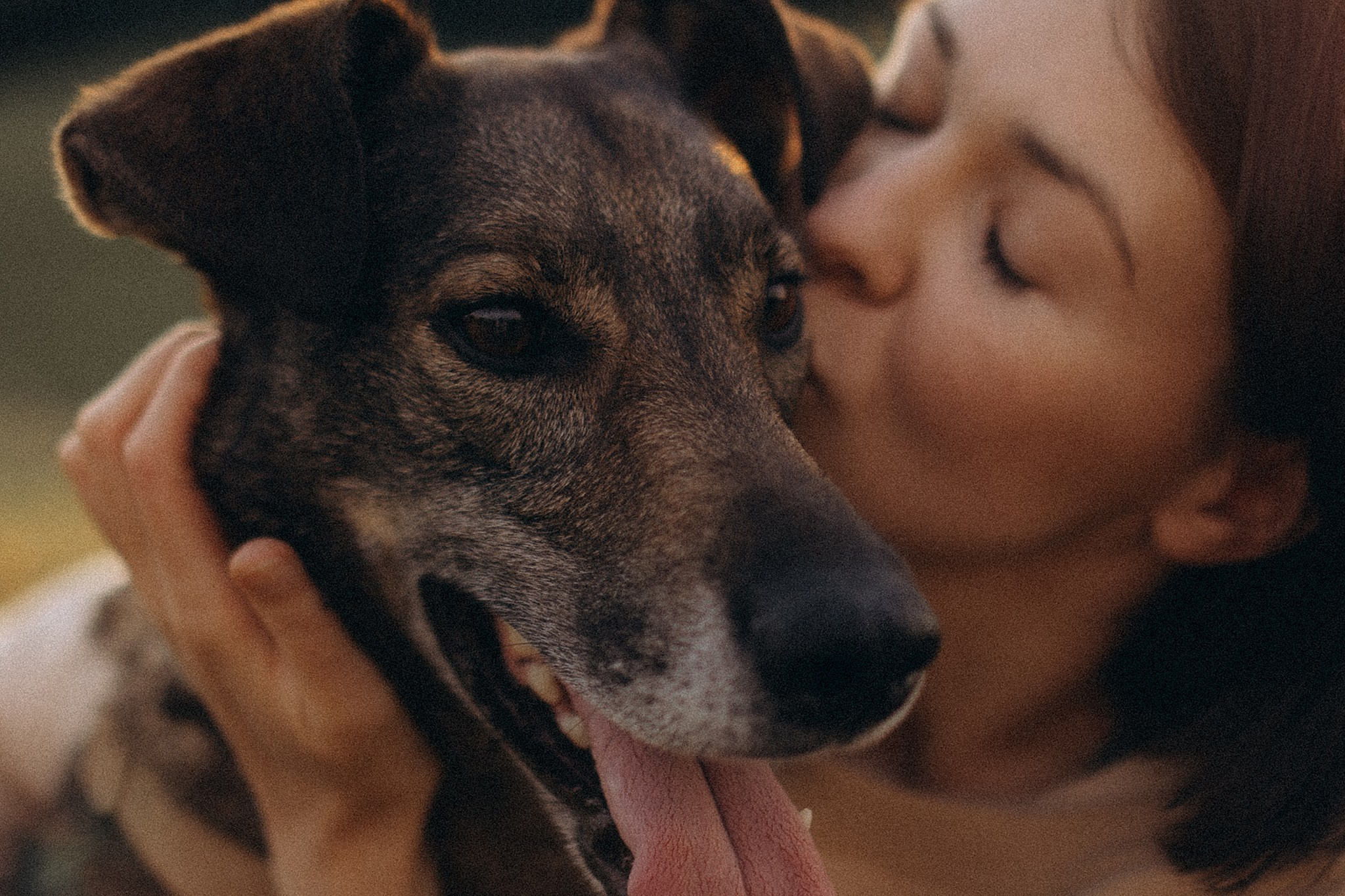 Фінік та Еля. Фотограф-анімаліст Київ