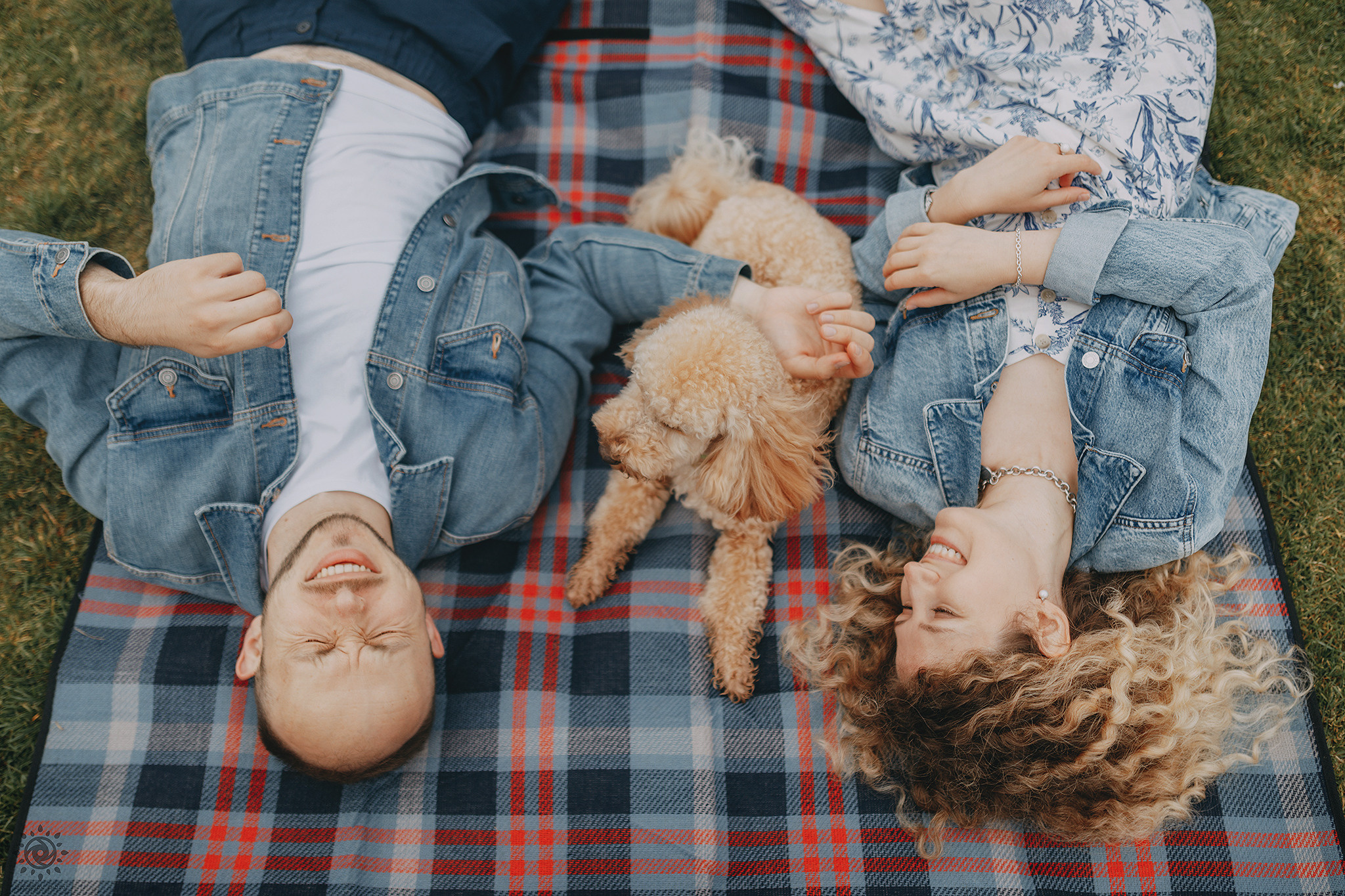 Родина Фініка. Фотограф-анімаліст Київ