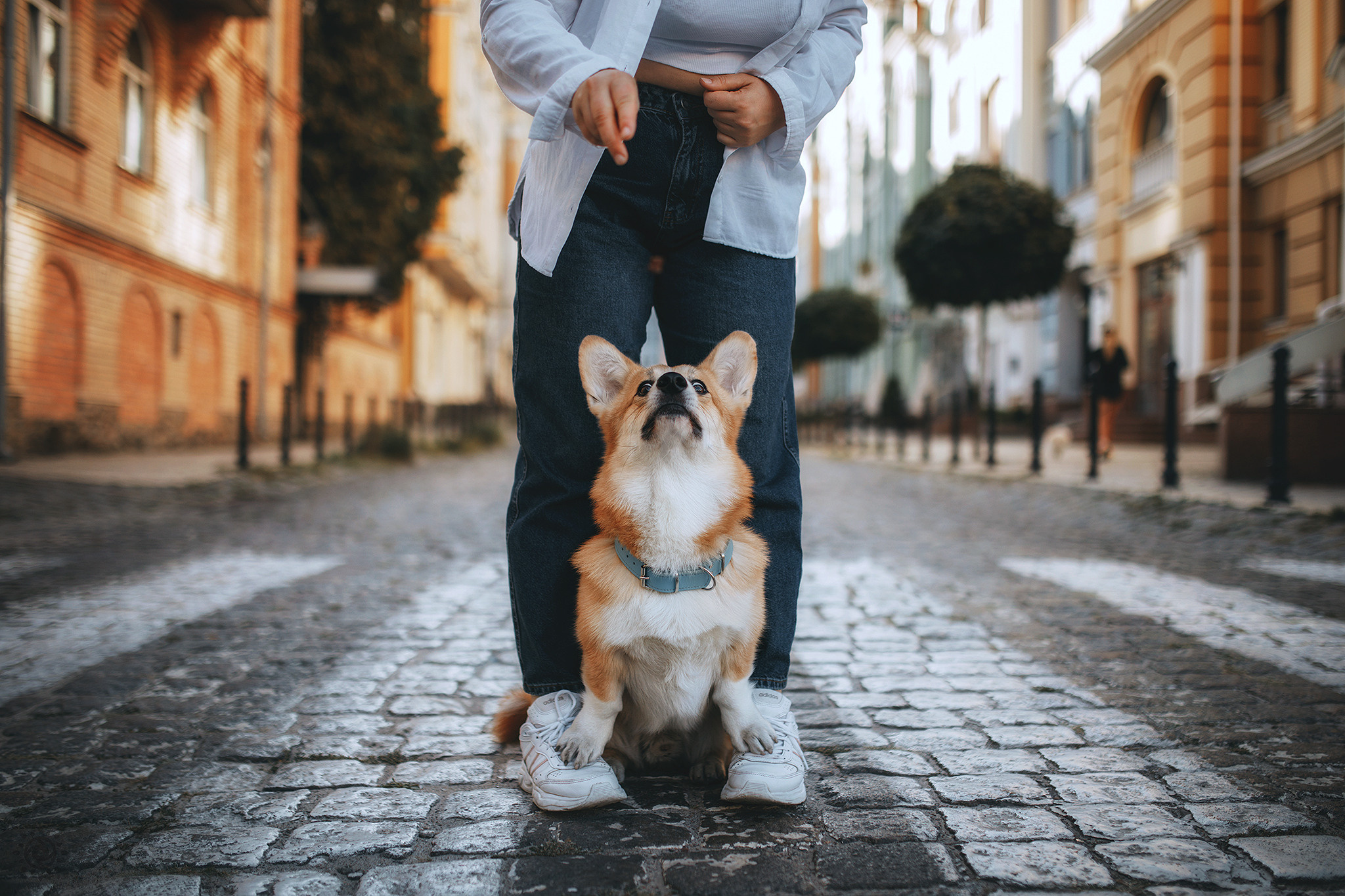 Родина Шерлока. Фотограф-анімаліст Київ