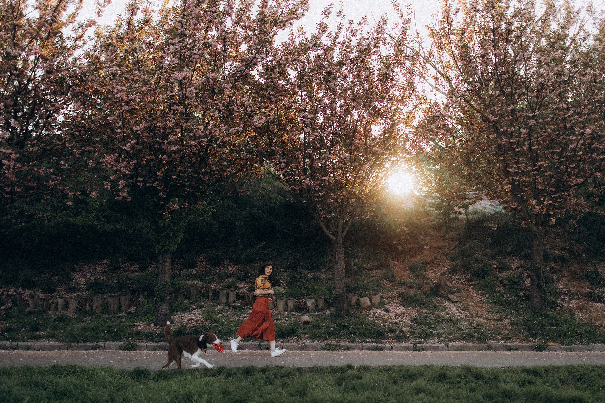 Лінч з Ма. Фотограф-анімаліст Київ