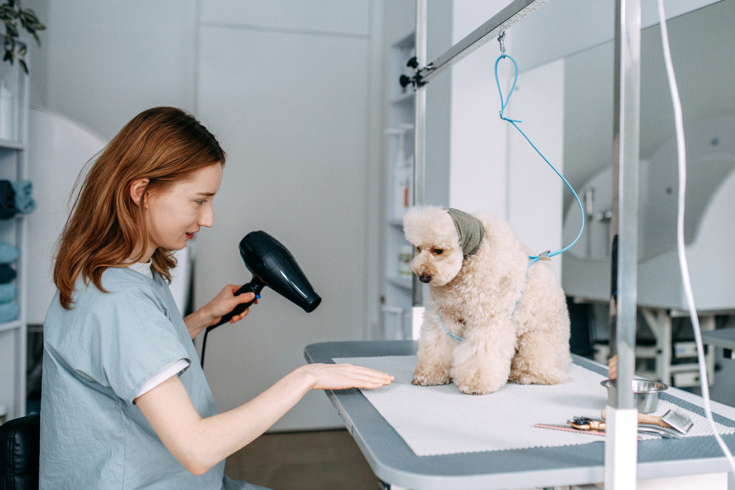Hvist Hab. Фотограф-анімаліст Київ
