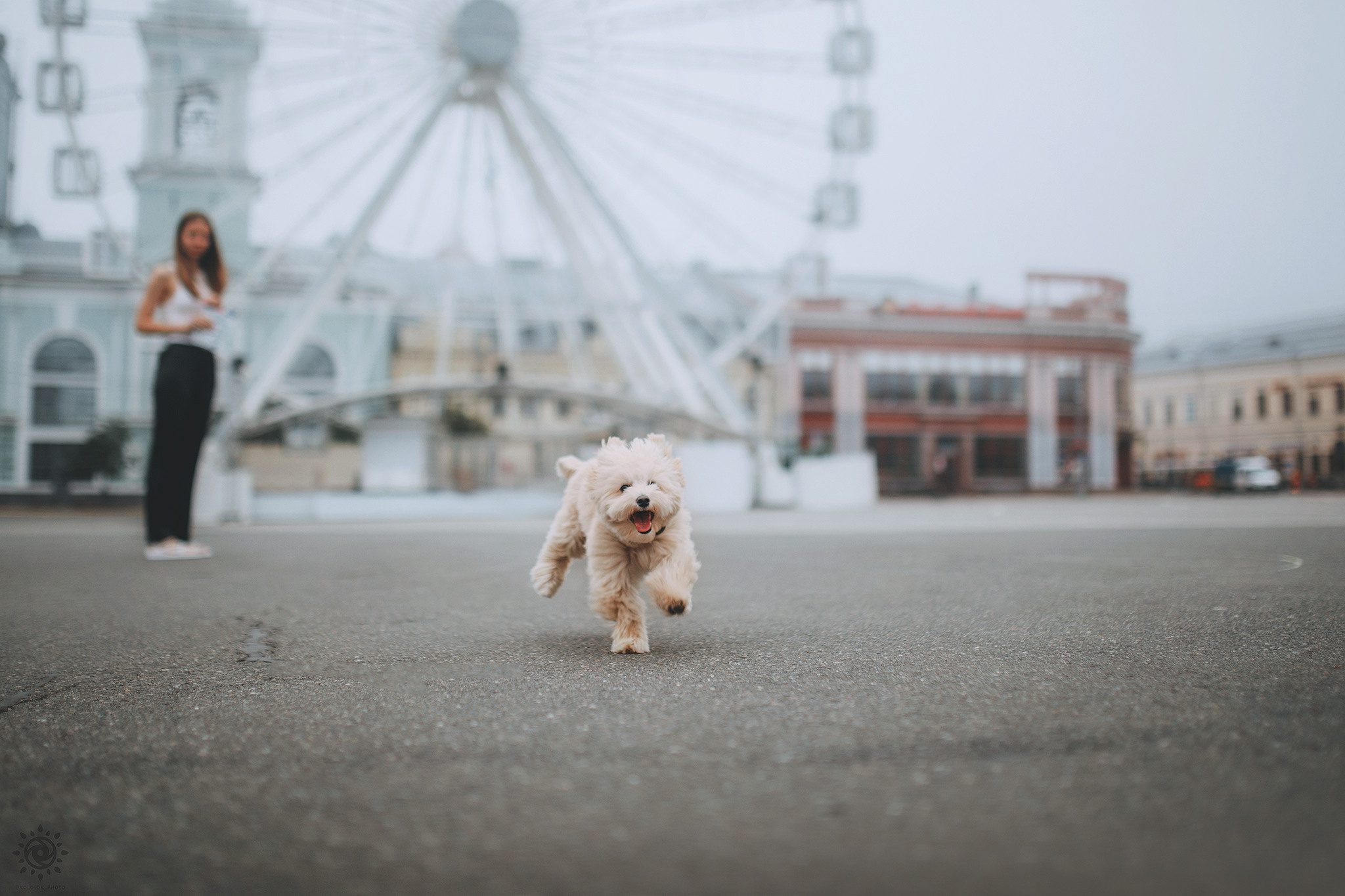 Родина Луни. Фотограф-анімаліст Київ