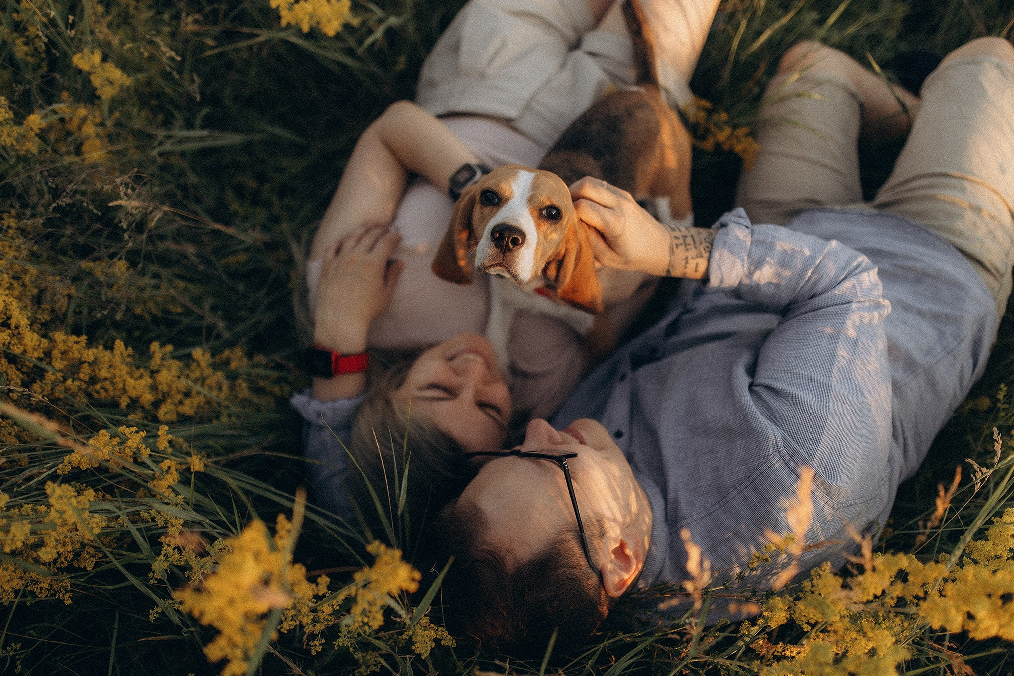 Родина Рей. Фотограф-анімаліст Київ
