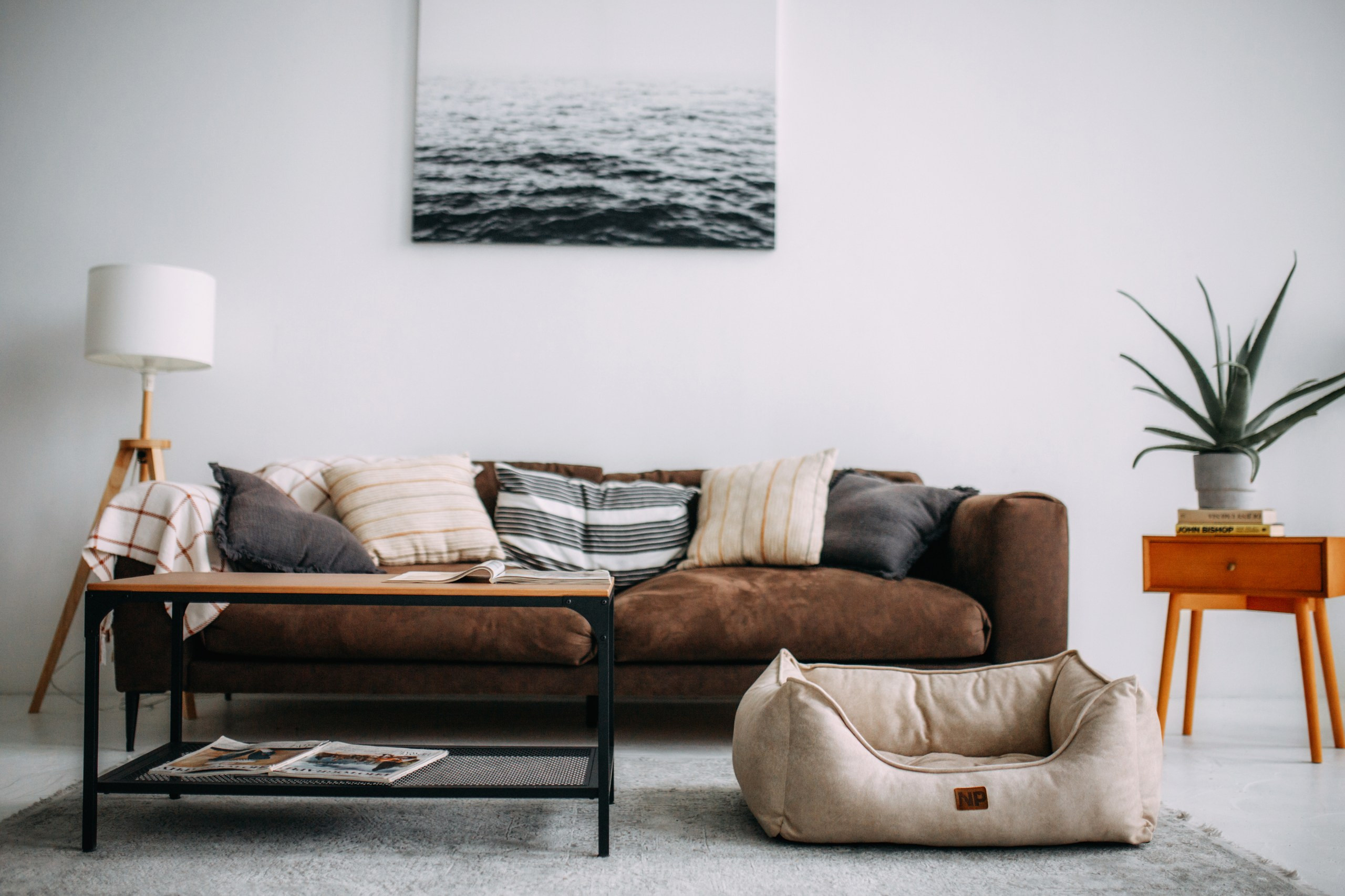 Noble Pet (зйомка лежанок). Фотограф-анімаліст Київ