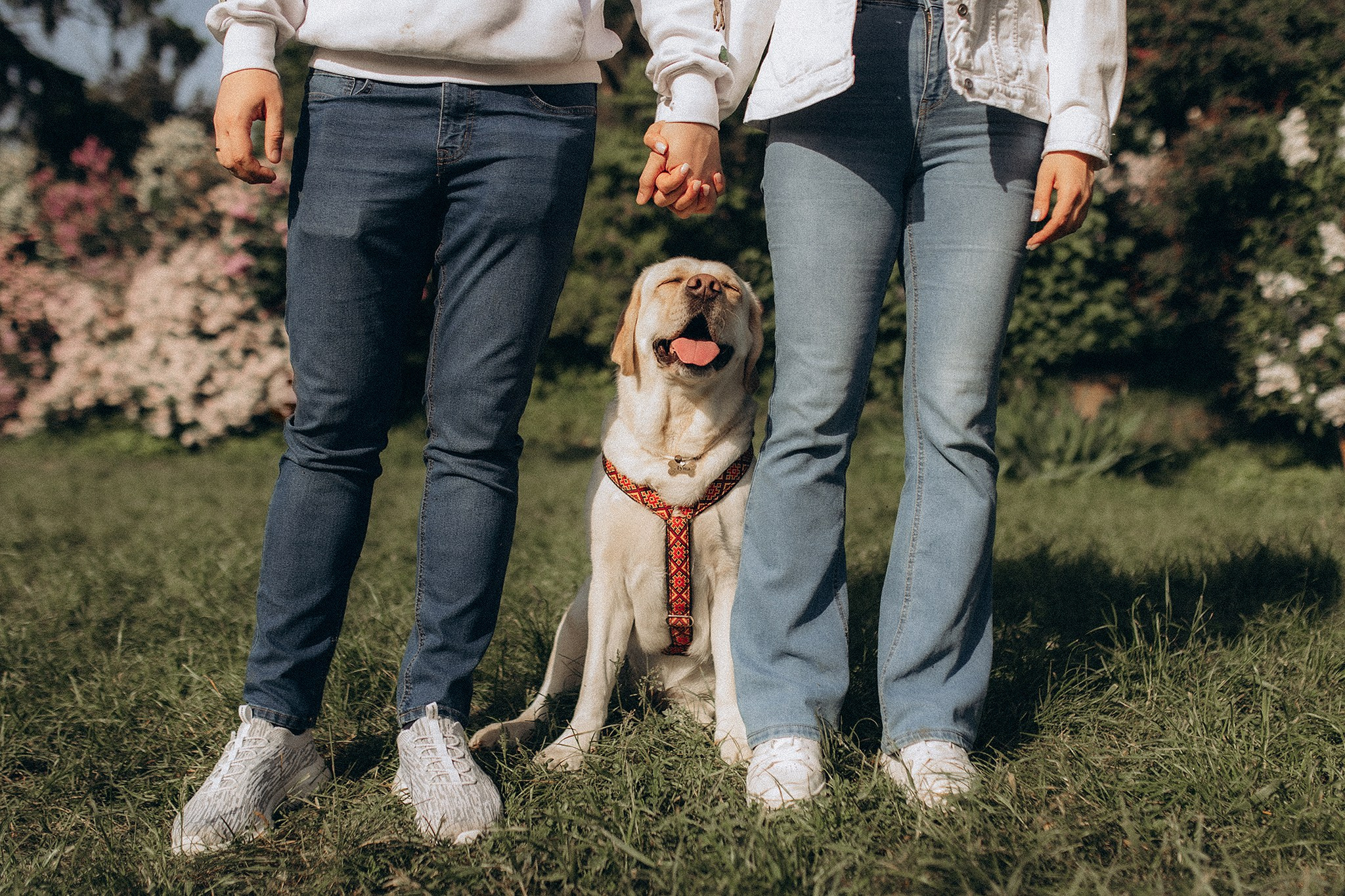 Родина Луни. Фотограф-анімаліст Київ