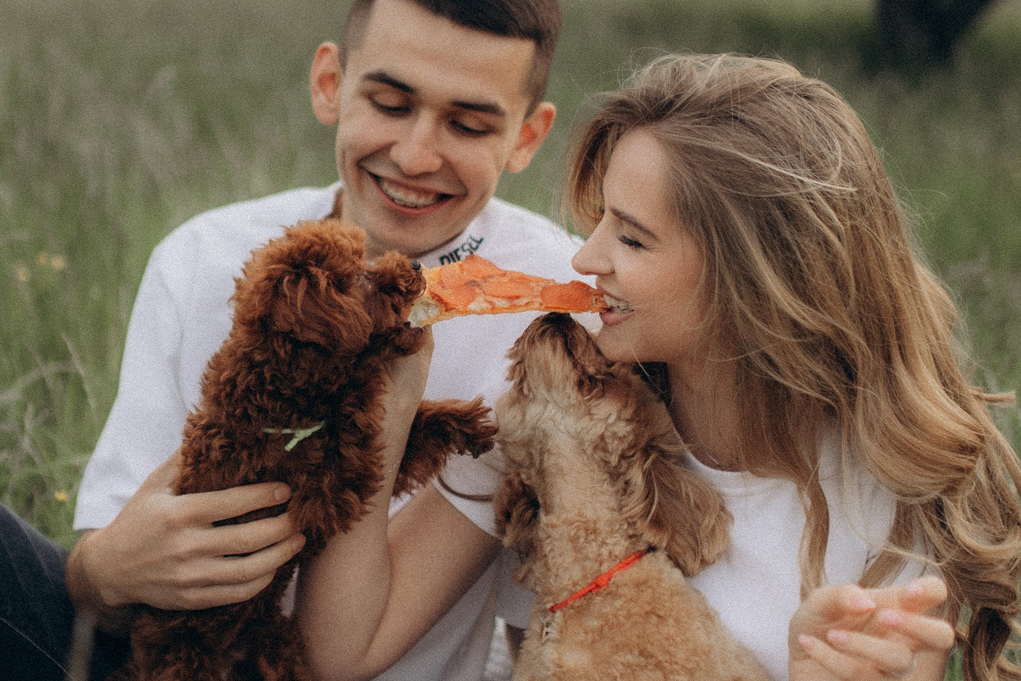 Дісней та Джойка з батьками. Фотограф-анімаліст Київ