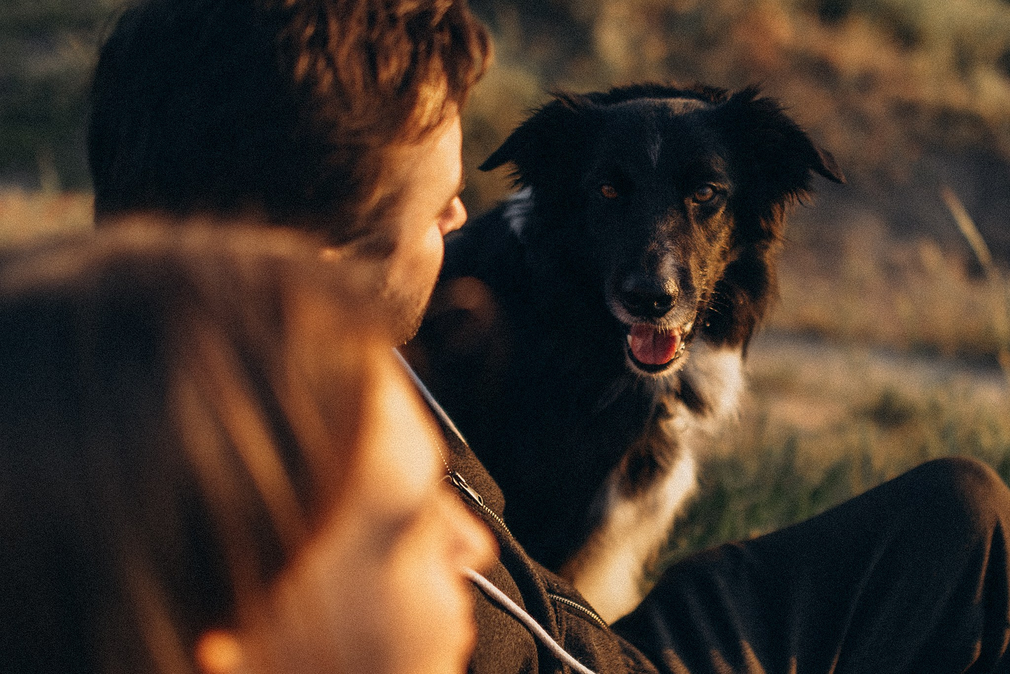 Інна та Макс з хлопцями. Фотограф-анімаліст Київ