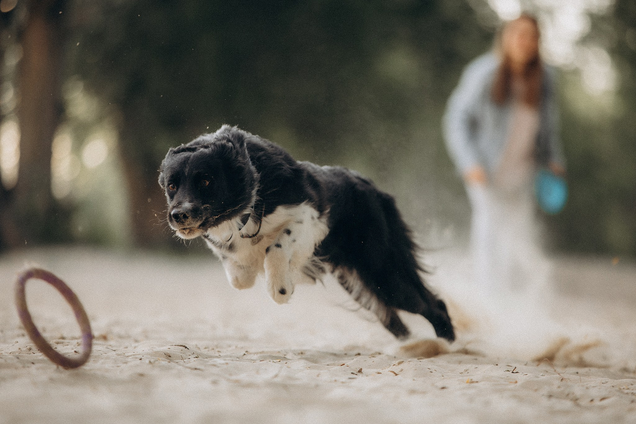 Інна та Макс з хлопцями. Фотограф-анімаліст Київ