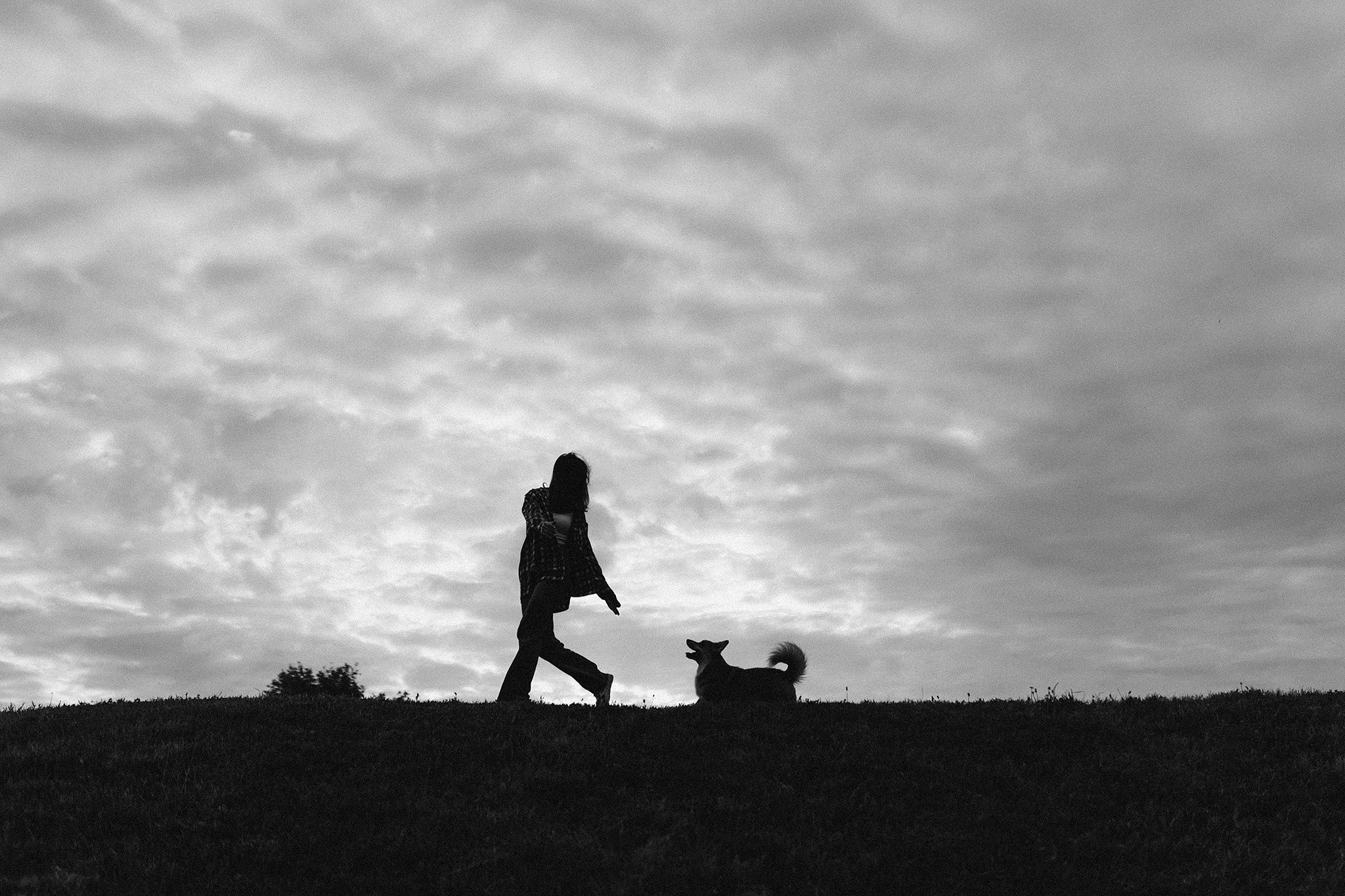 Руді та Ксюша. Фотограф-анімаліст Київ