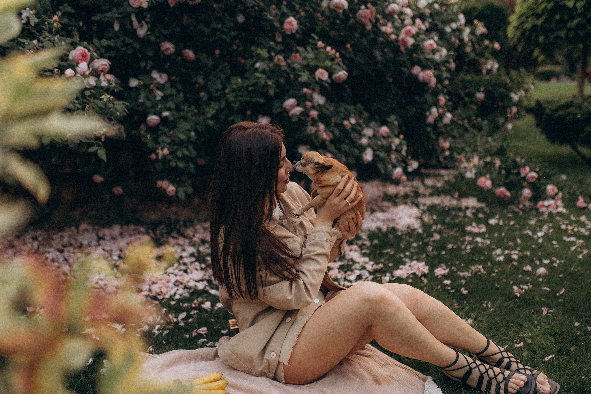 Флоріс та Міла. Фотограф-анімаліст Київ