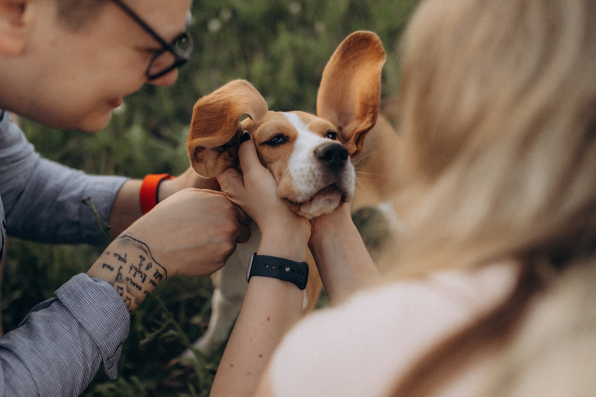Родина Рей. Фотограф-анімаліст Київ