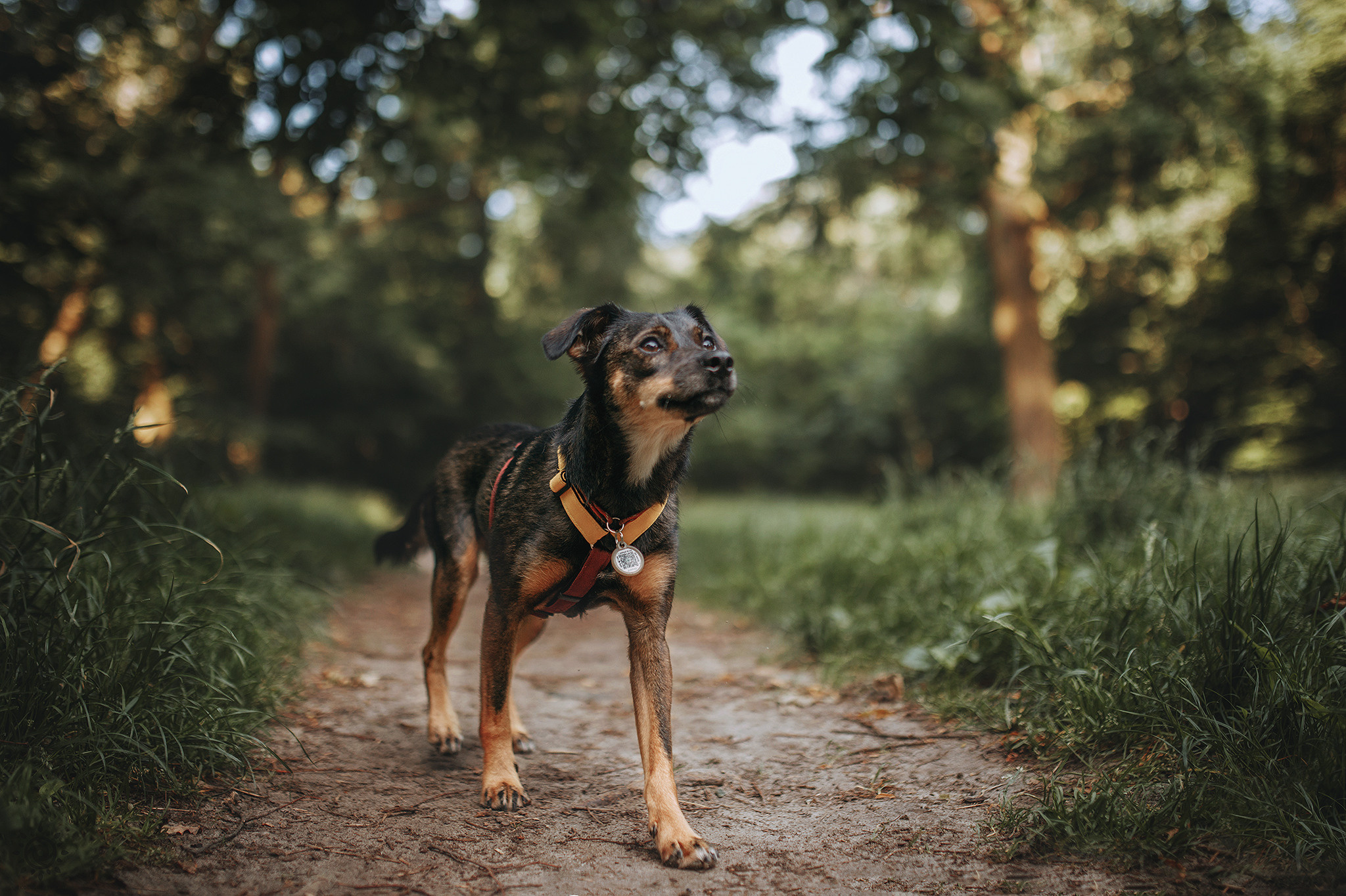 Родина Оливки. Фотограф-анімаліст Київ