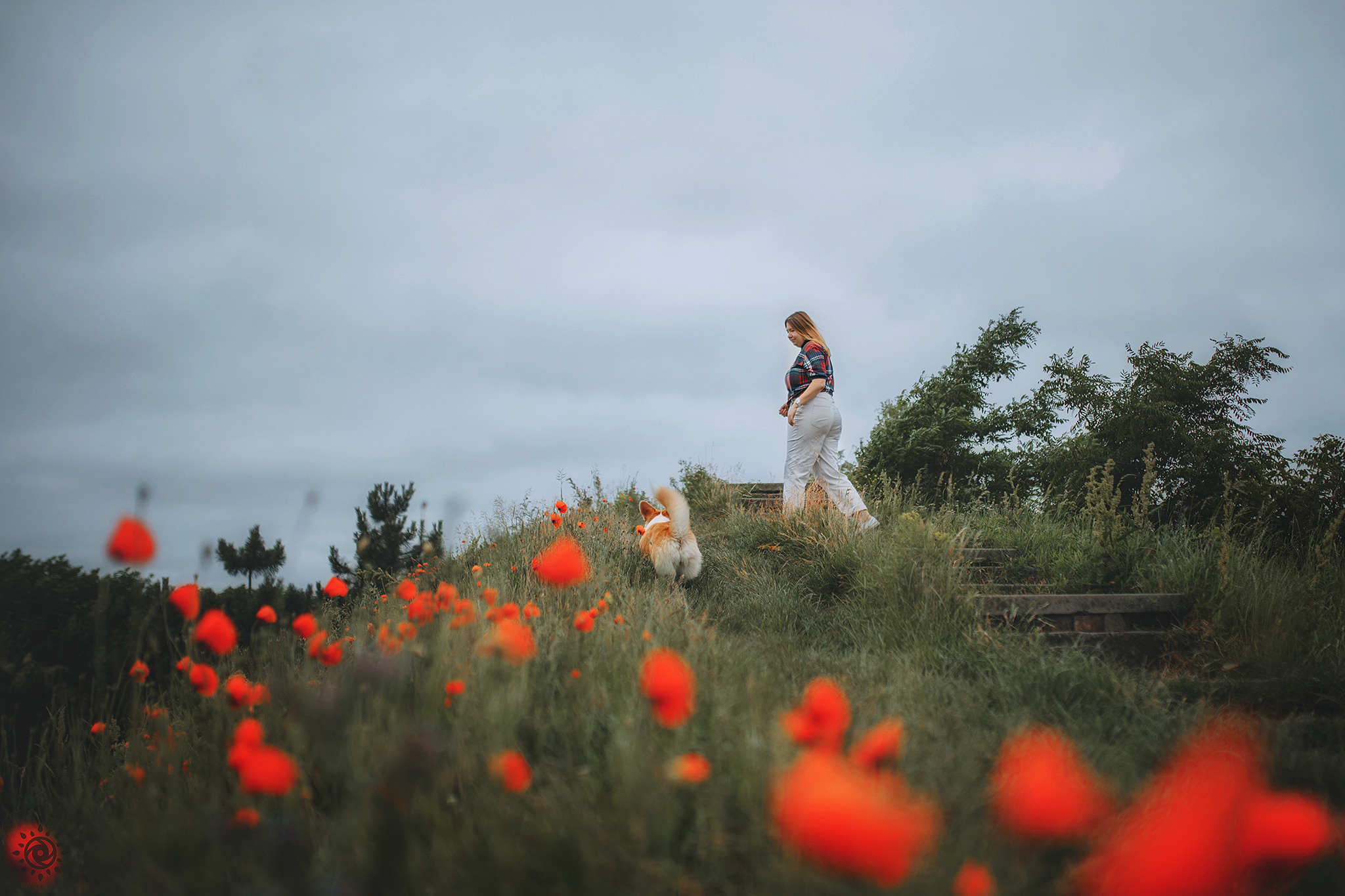 Родина Карамель. Фотограф-анімаліст Київ
