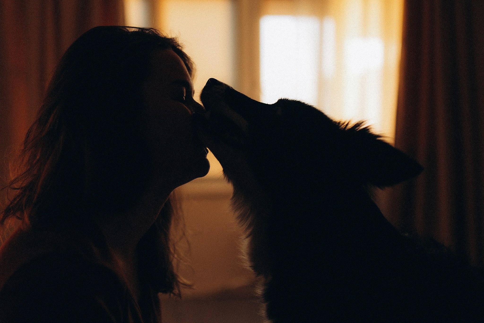 Теса і Кімі з Ма. Фотограф-анімаліст Київ