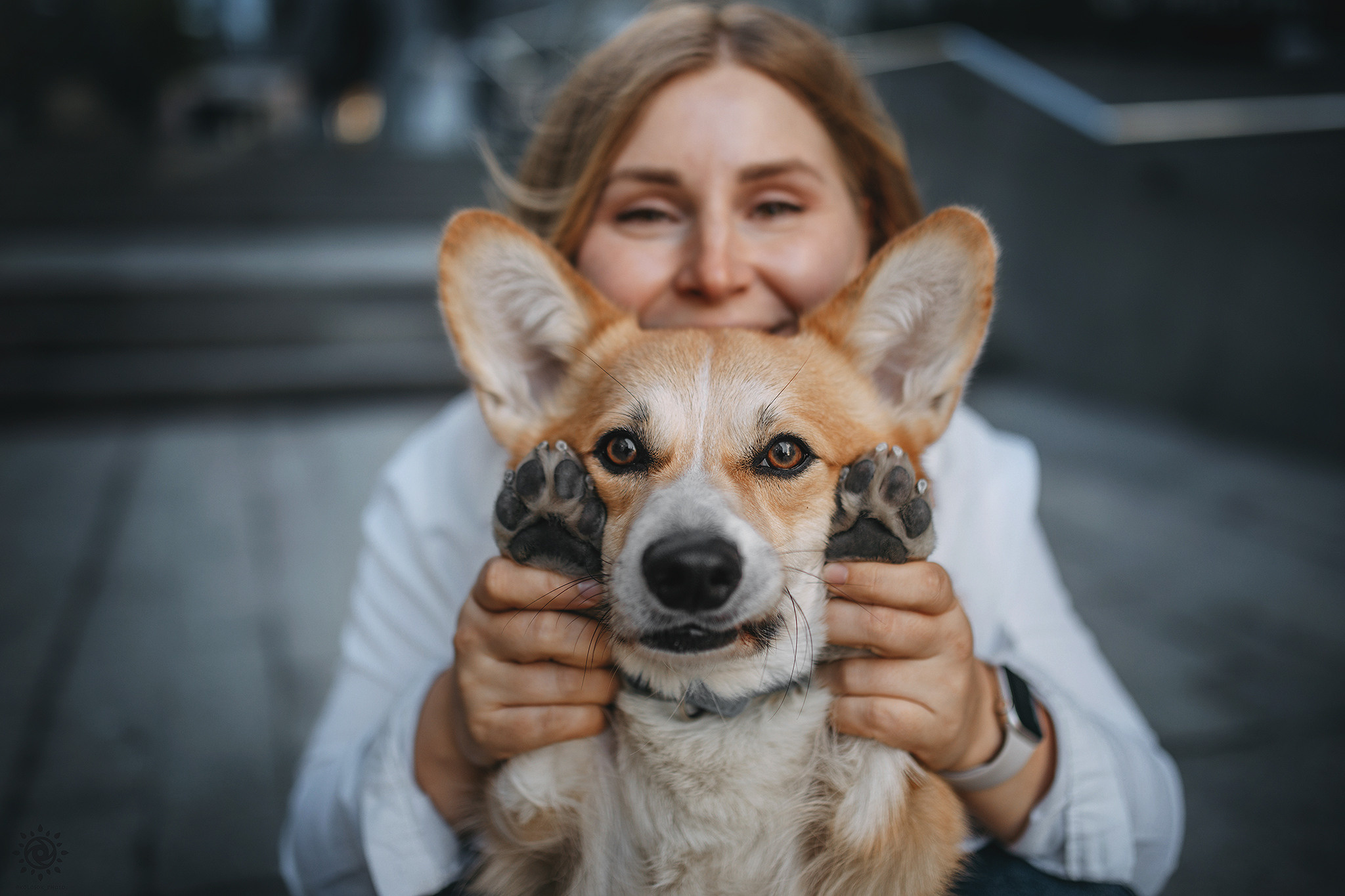 Родина Шерлока. Фотограф-анімаліст Київ