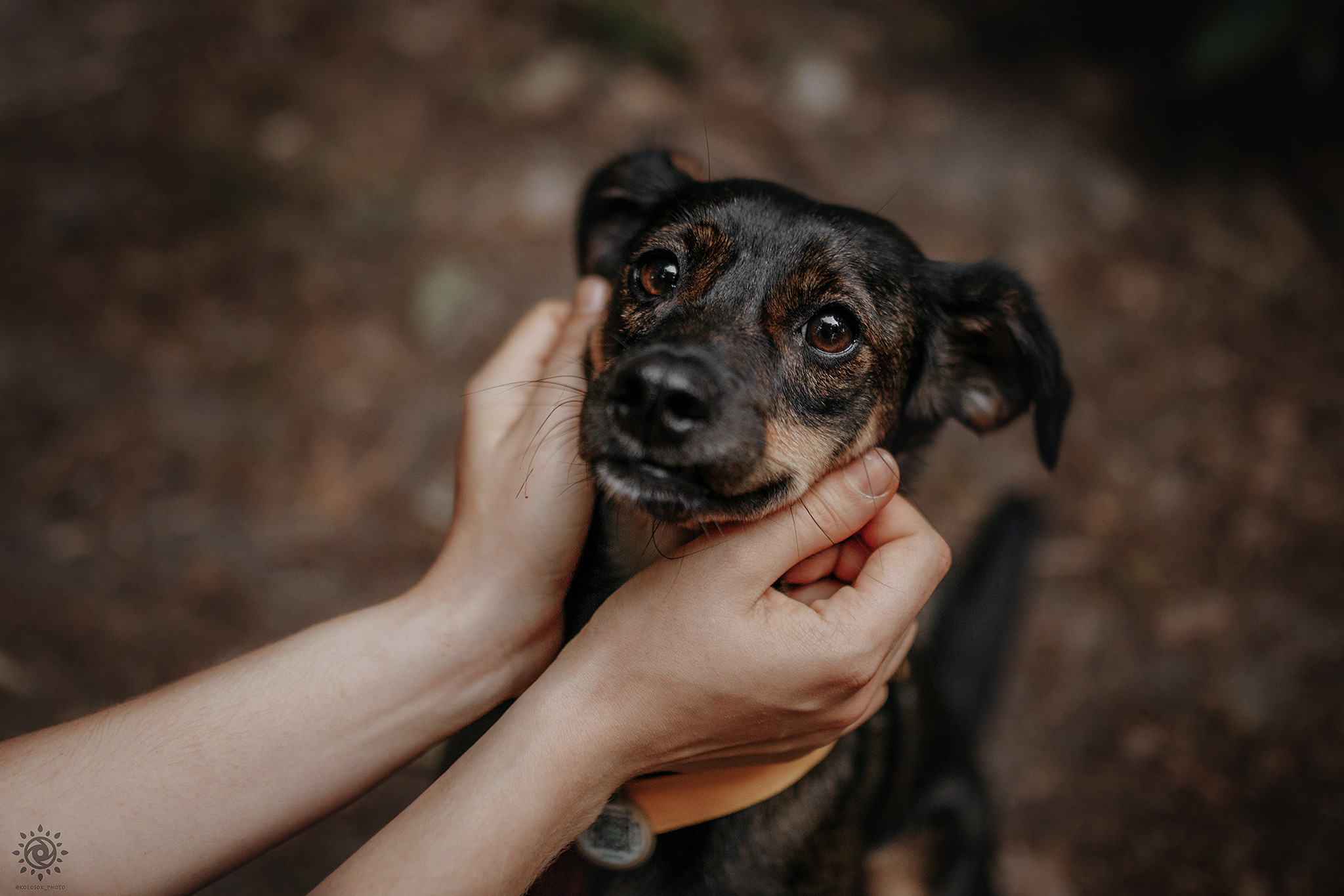 Родина Оливки. Фотограф-анімаліст Київ