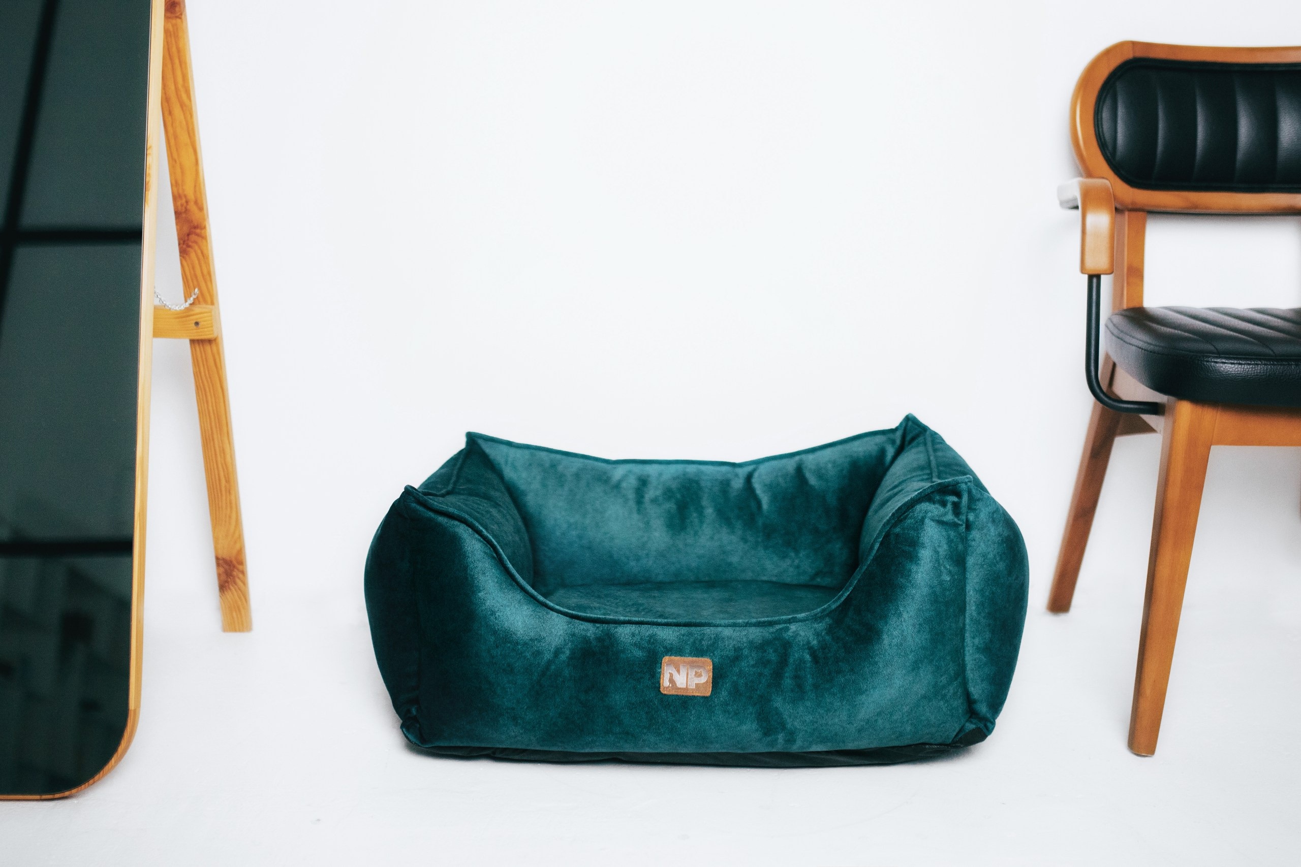 Noble Pet (зйомка лежанок). Фотограф-анімаліст Київ