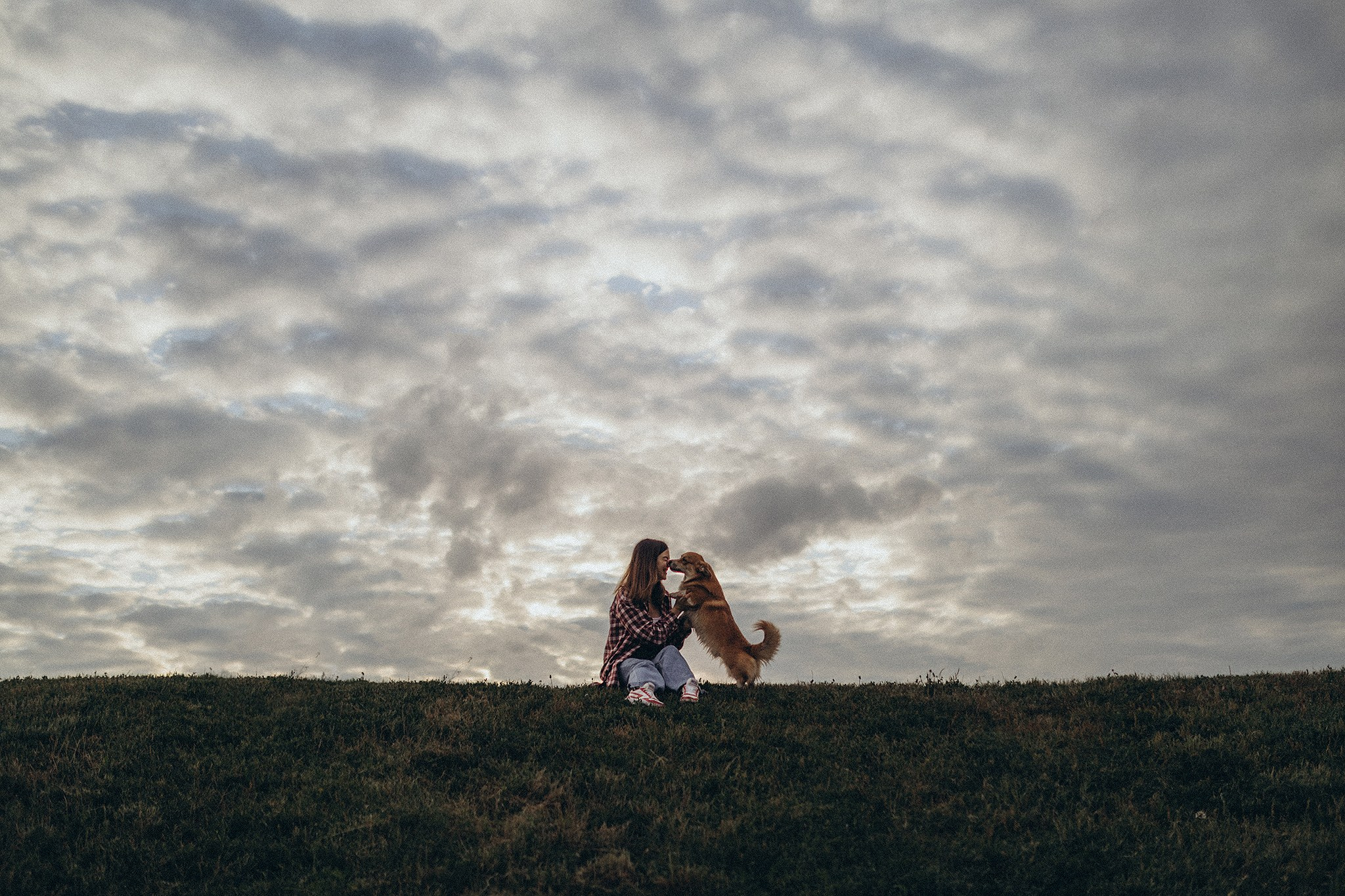 Руді та Ксюша. Фотограф-анімаліст Київ