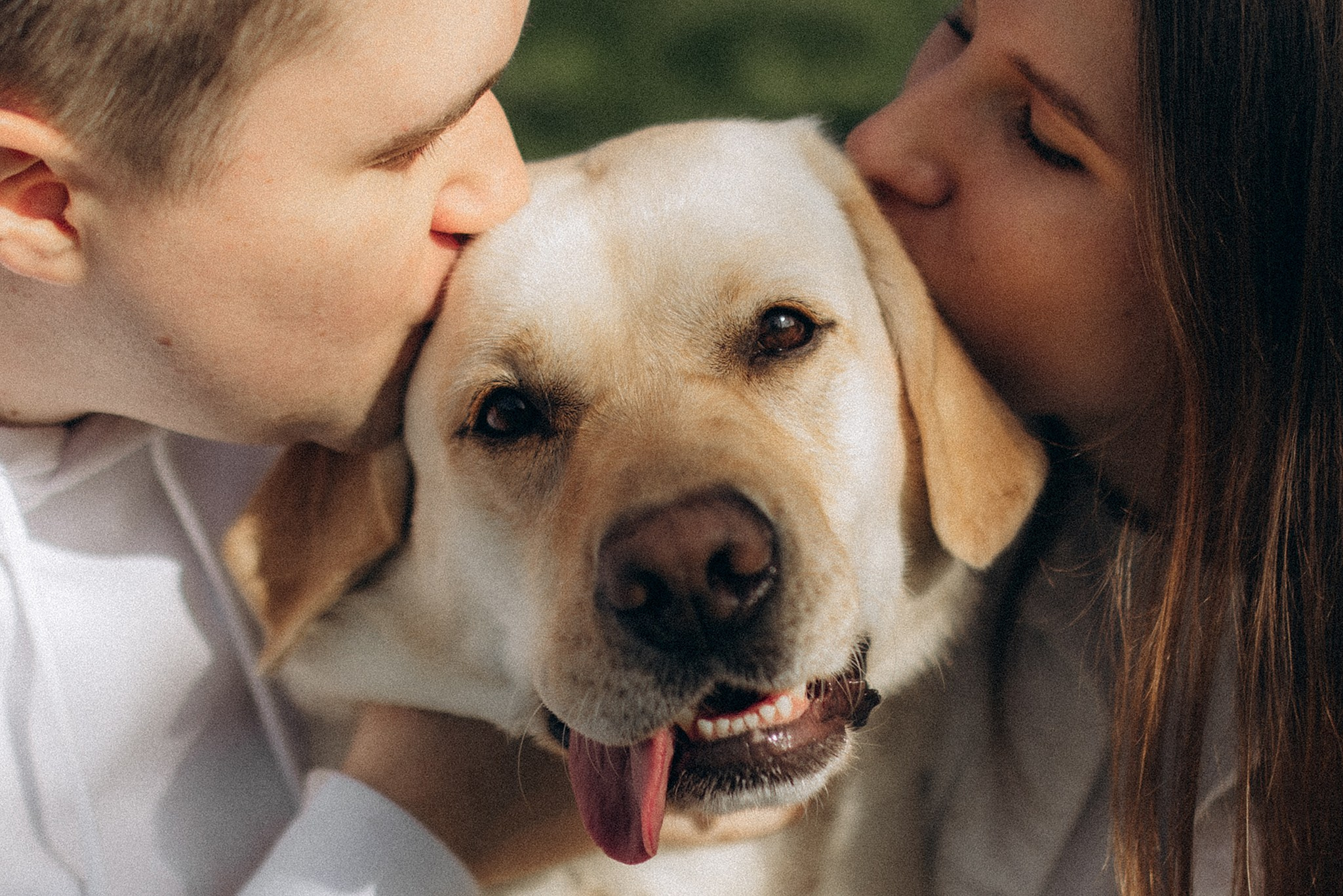 Родина Луни. Фотограф-анімаліст Київ