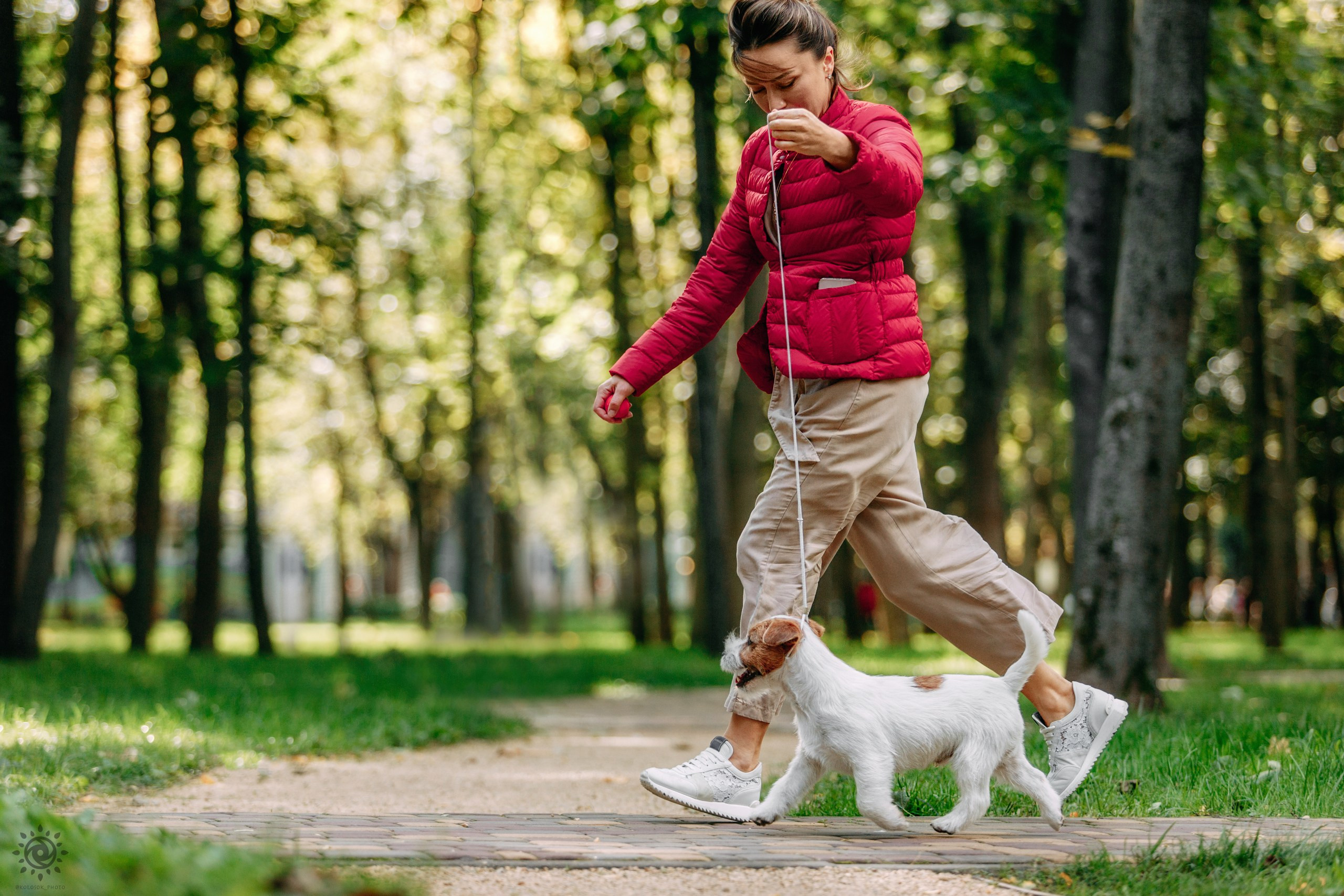Тіт. Фотограф-анімаліст Київ