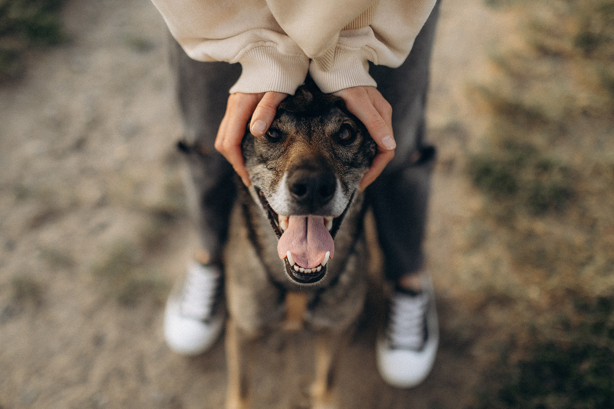 Фінік та Еля. Фотограф-анімаліст Київ