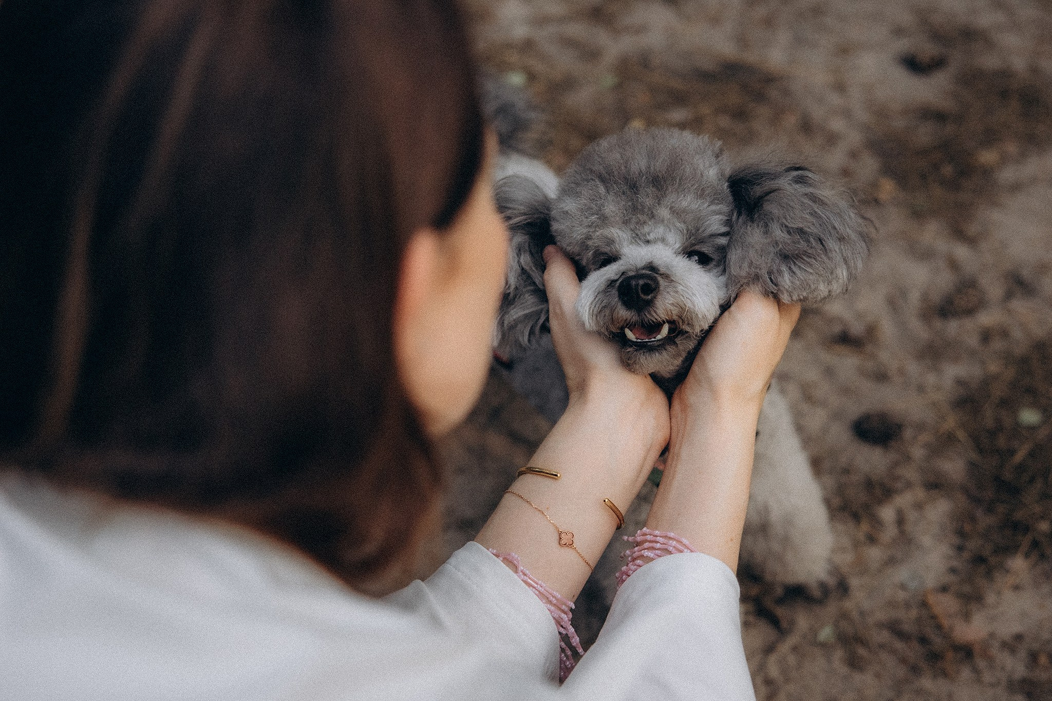 Родина Моніка. Фотограф-анімаліст Київ