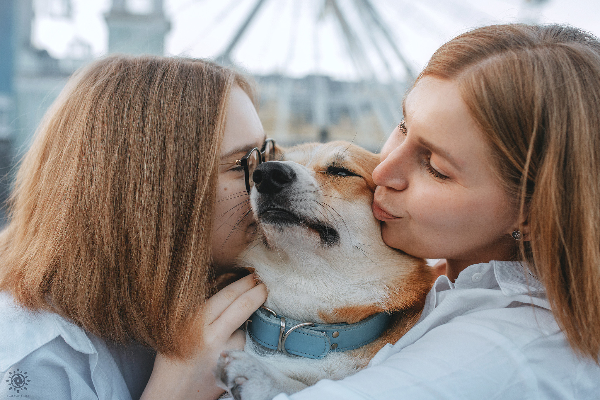 Родина Шерлока. Фотограф-анімаліст Київ