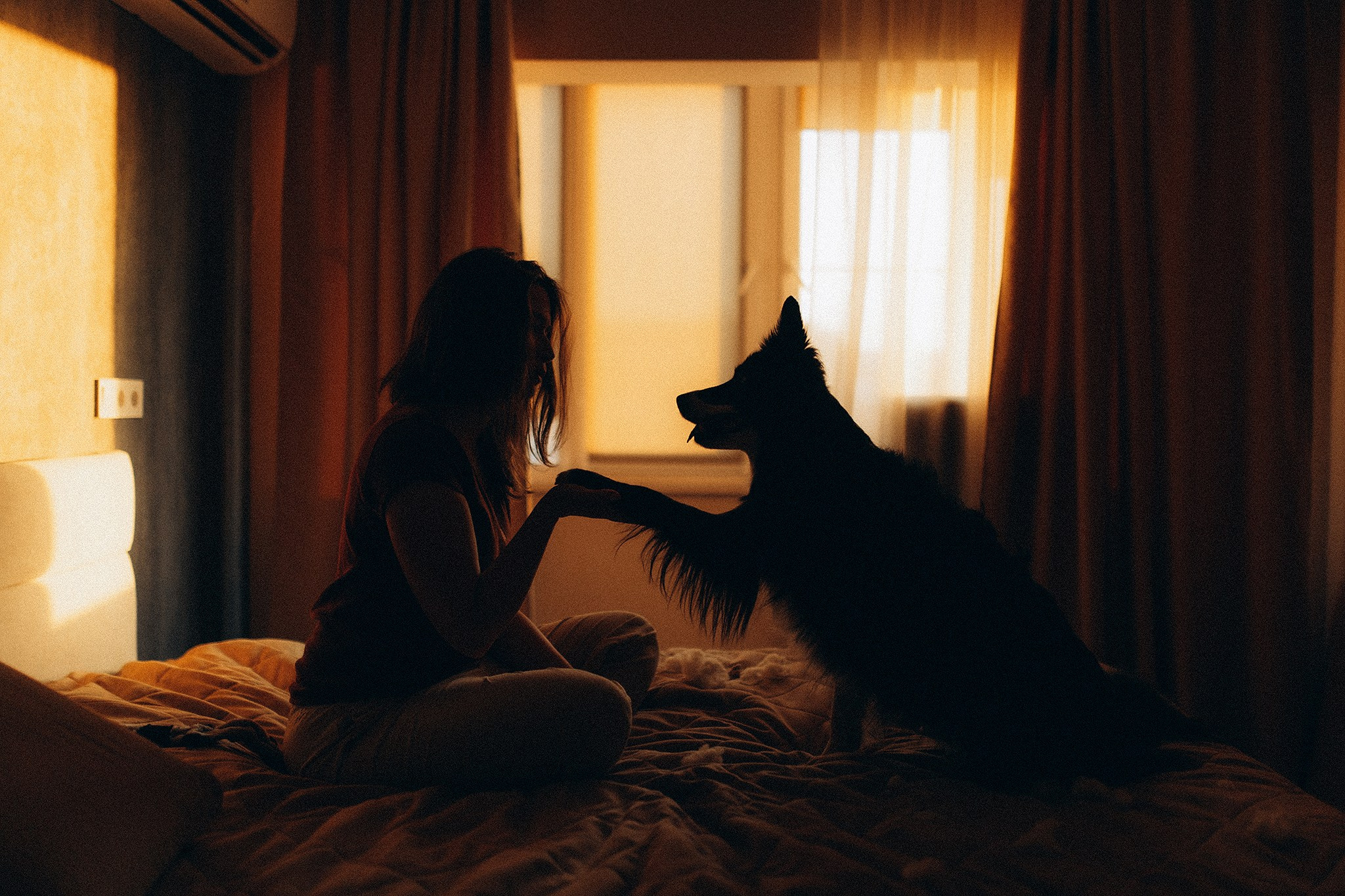 Теса і Кімі з Ма. Фотограф-анімаліст Київ