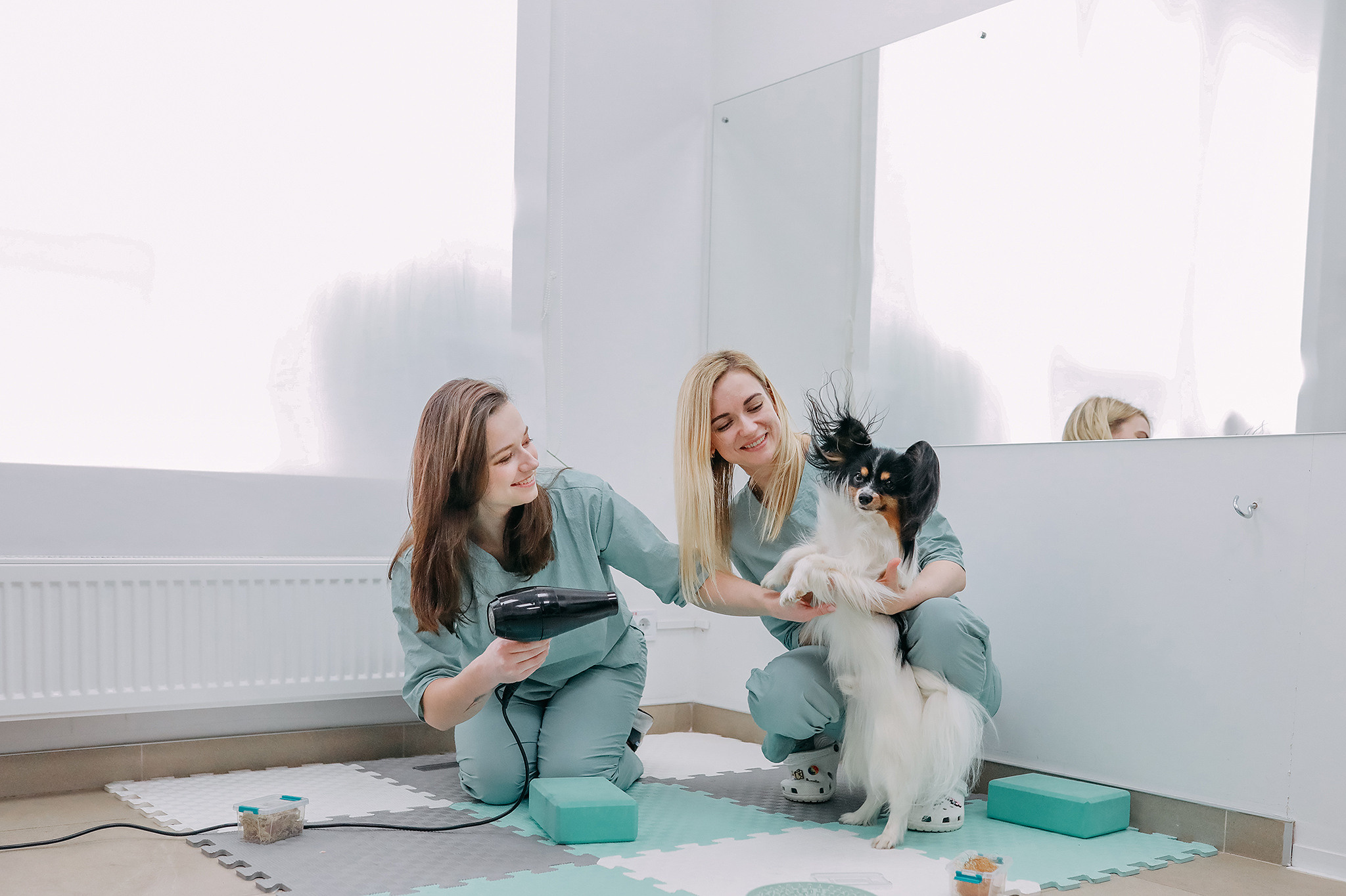 Hvist Hab. Фотограф-анімаліст Київ