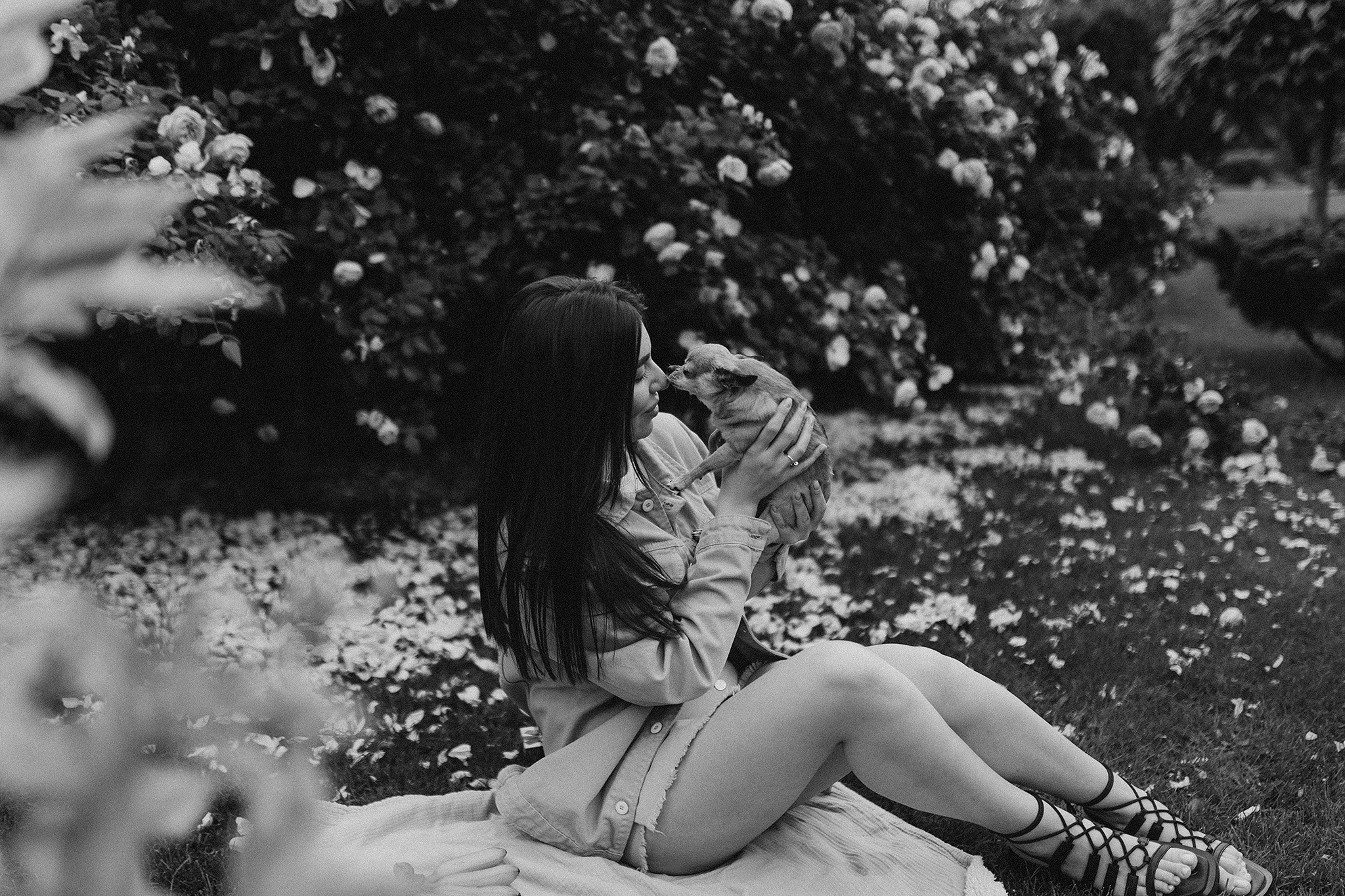 Флоріс та Міла. Фотограф-анімаліст Київ