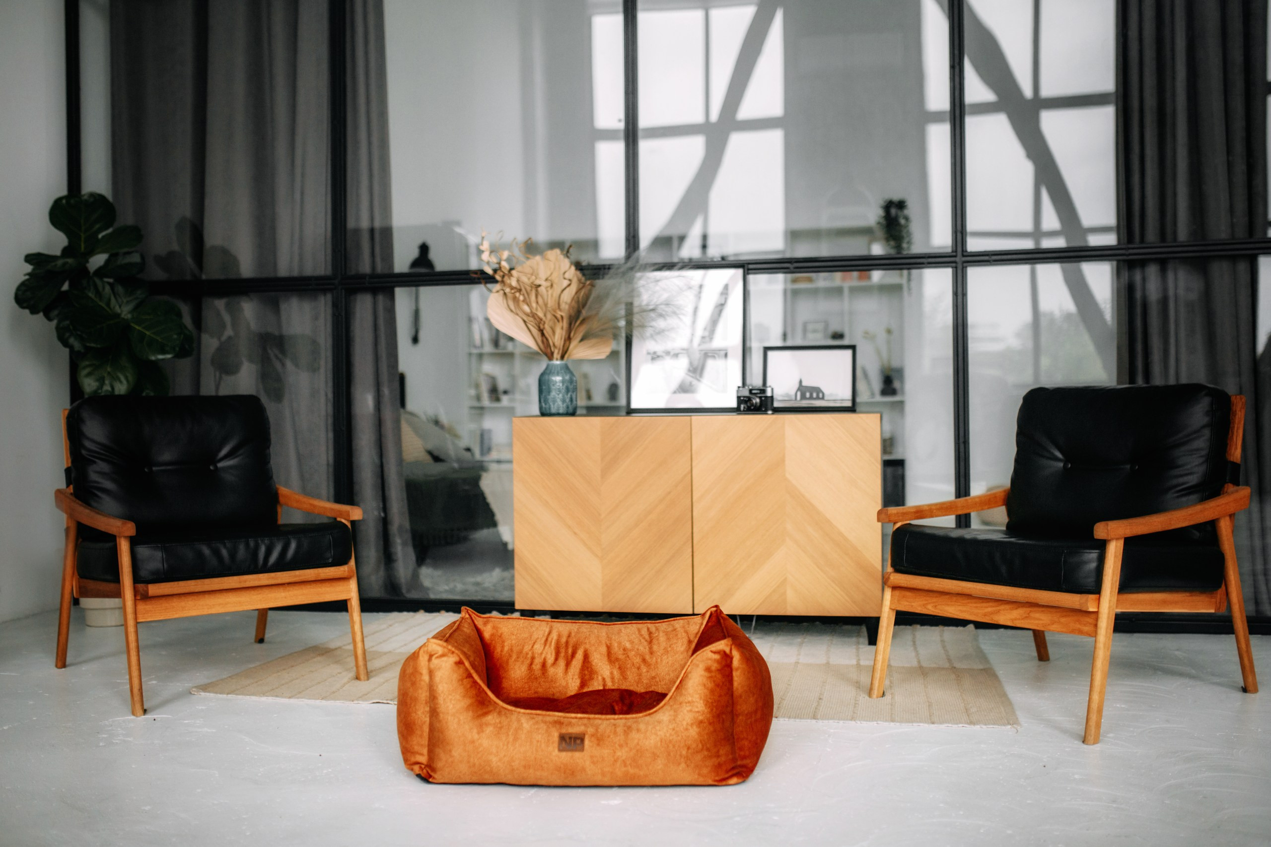 Noble Pet (зйомка лежанок). Фотограф-анімаліст Київ