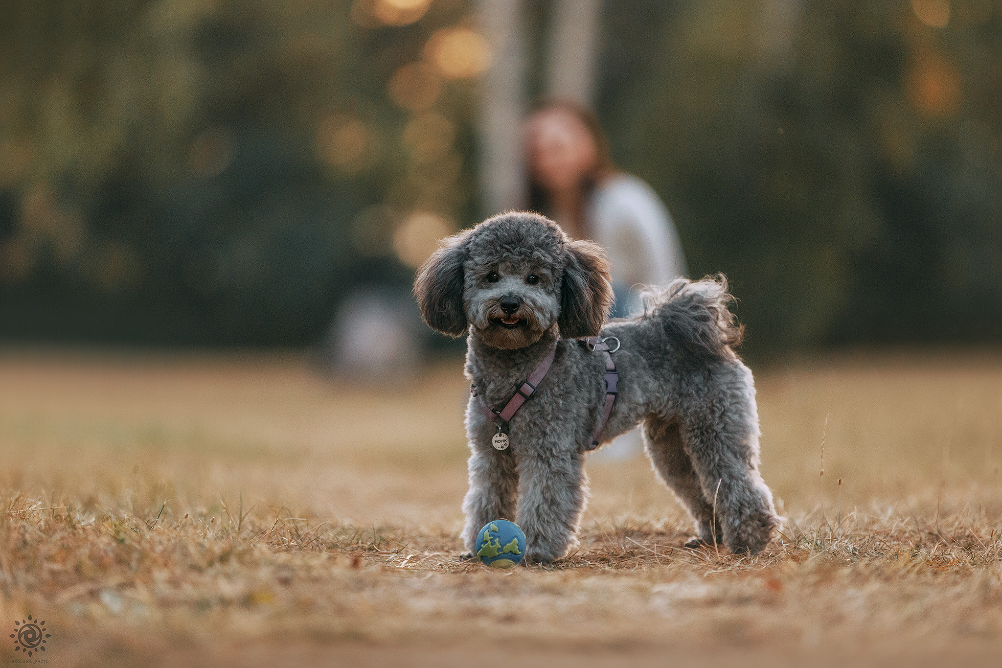 Родина Моніка. Фотограф-анімаліст Київ