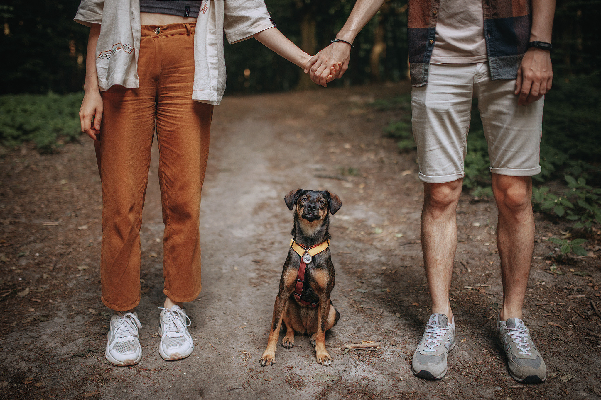 Родина Оливки. Фотограф-анімаліст Київ