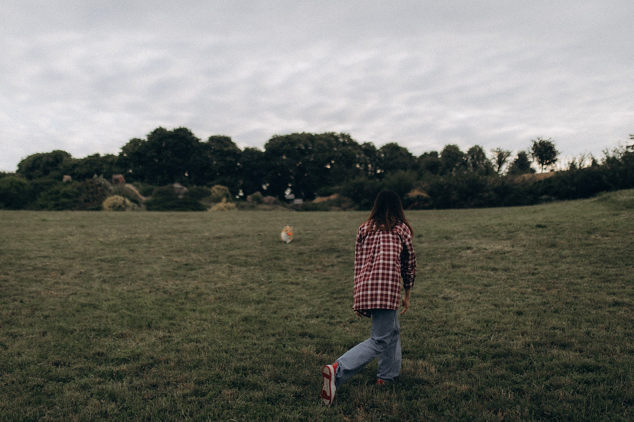 Руді та Ксюша. Фотограф-анімаліст Київ