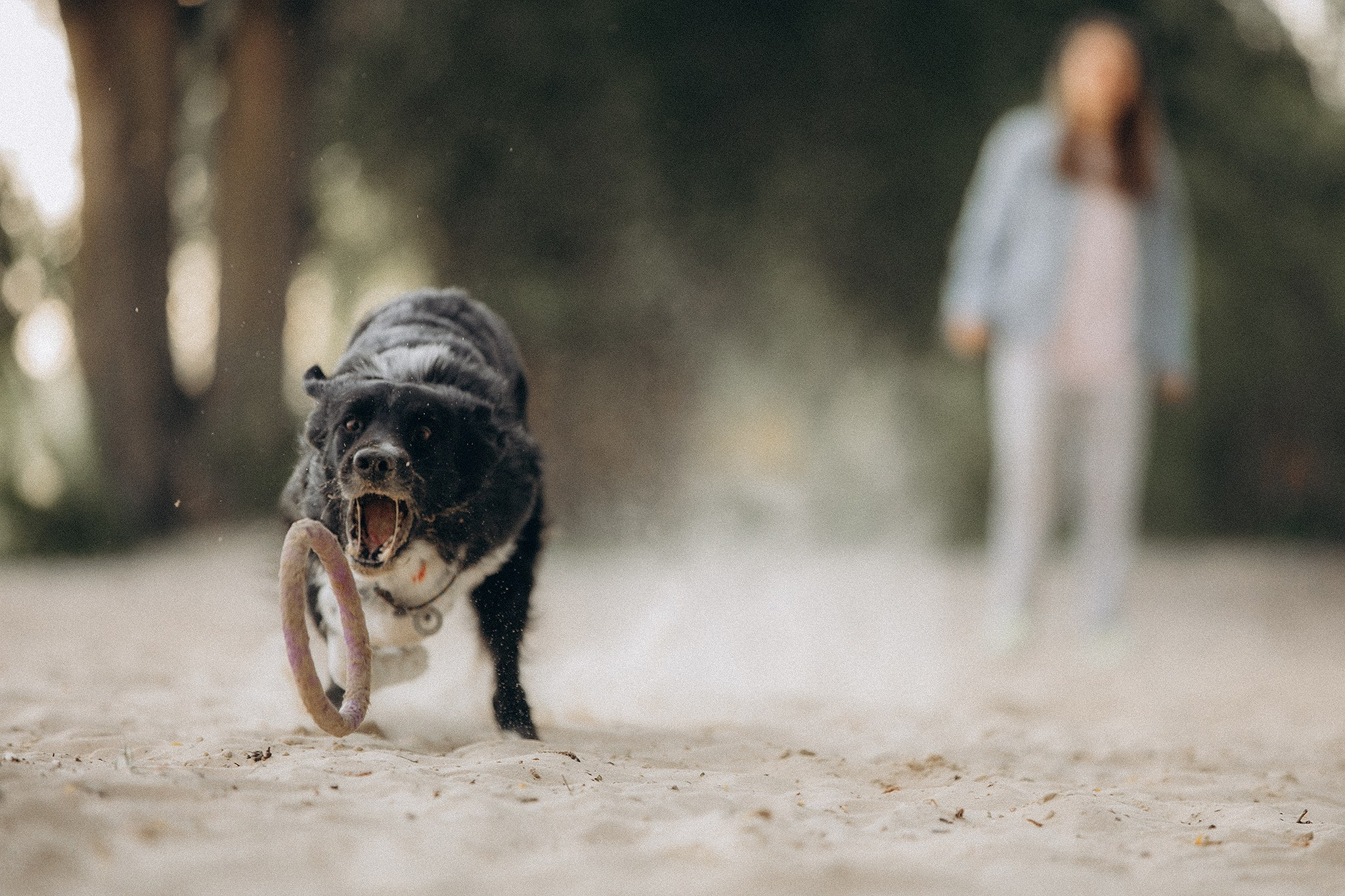 Інна та Макс з хлопцями. Фотограф-анімаліст Київ