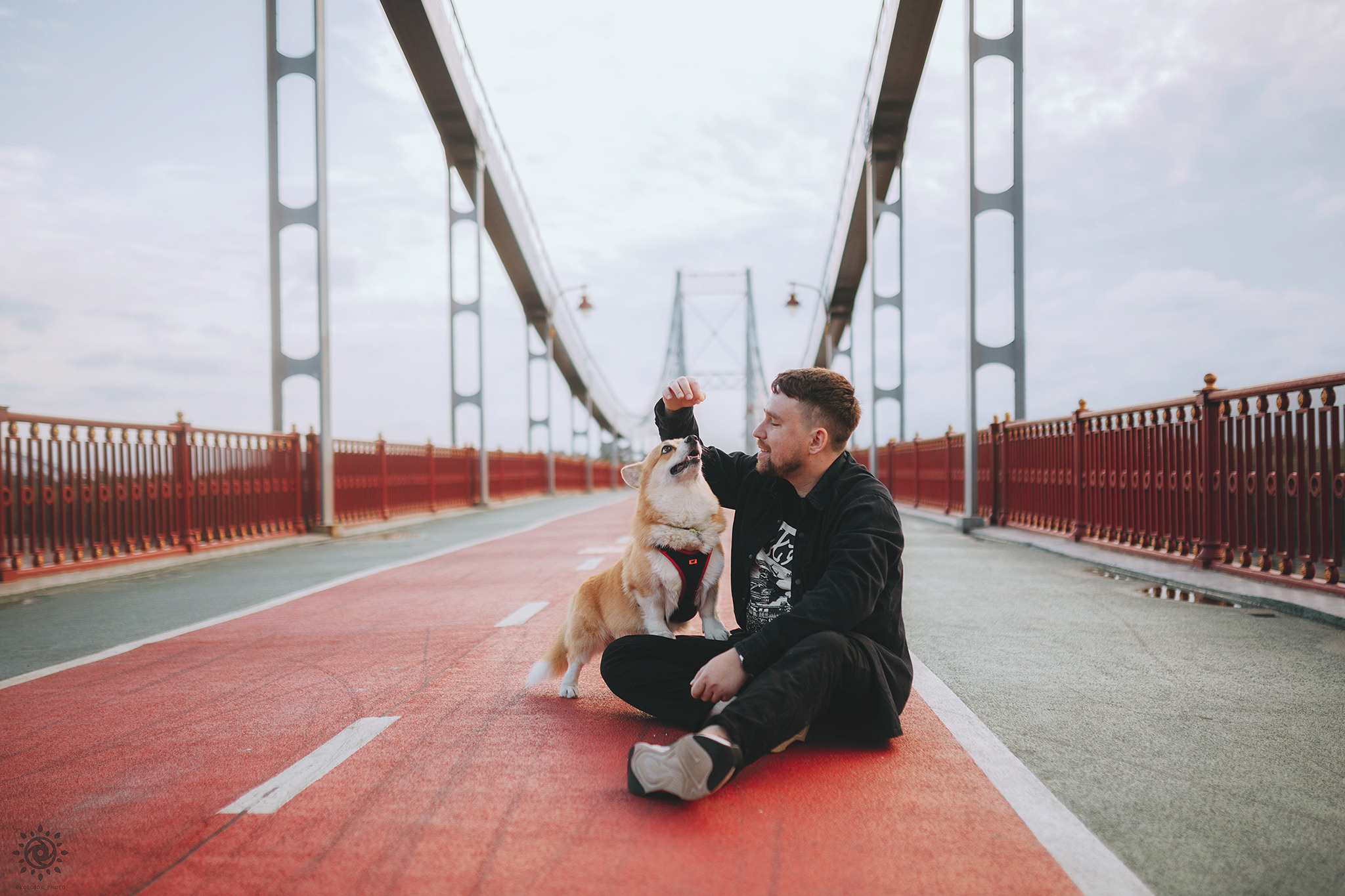 Родина Монті. Фотограф-анімаліст Київ