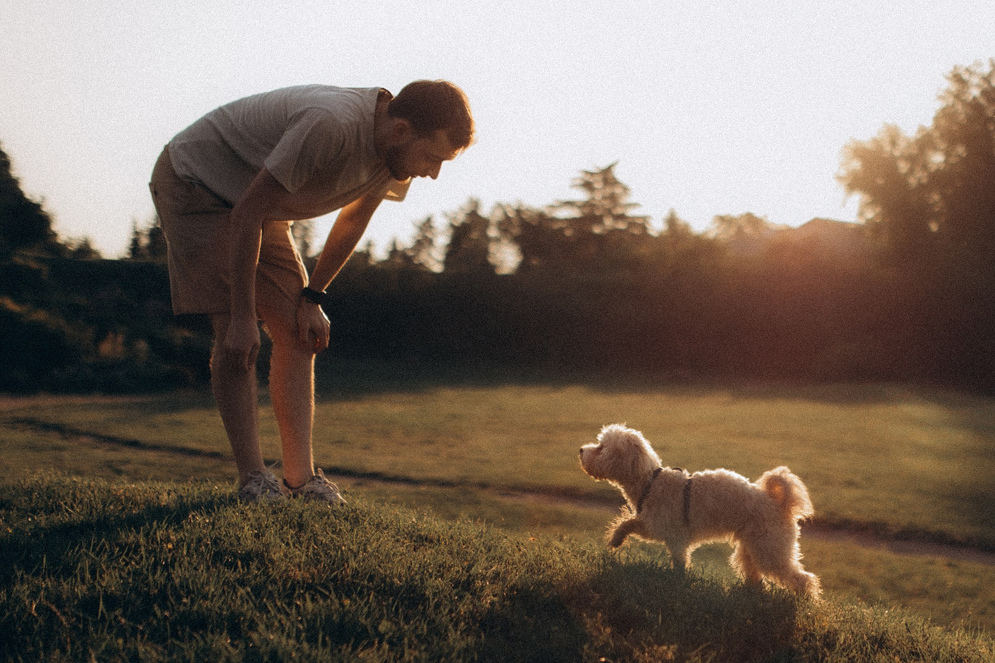 Сем та його родина. Фотограф-анімаліст Київ