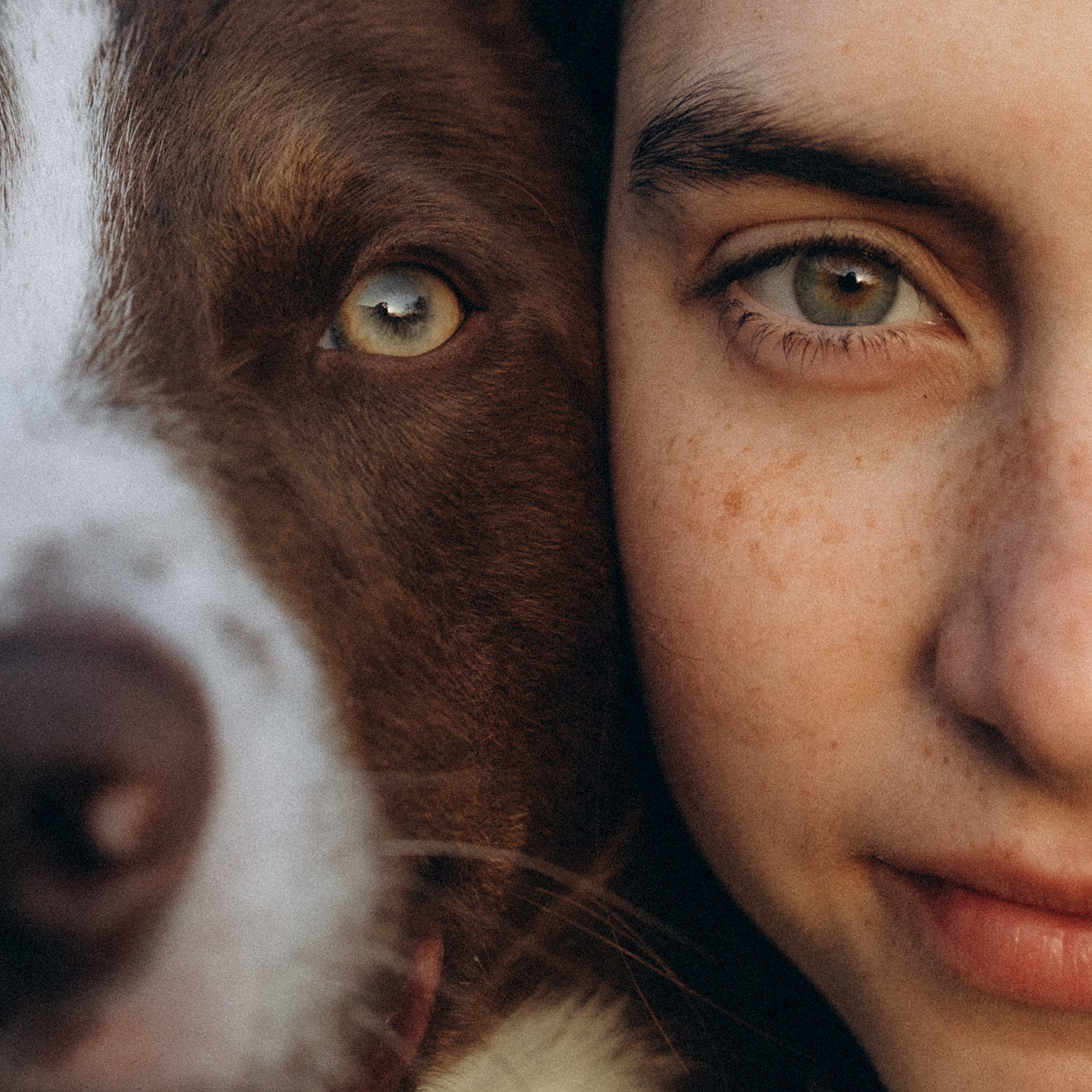 Лінч з Ма. Фотограф-анімаліст Київ