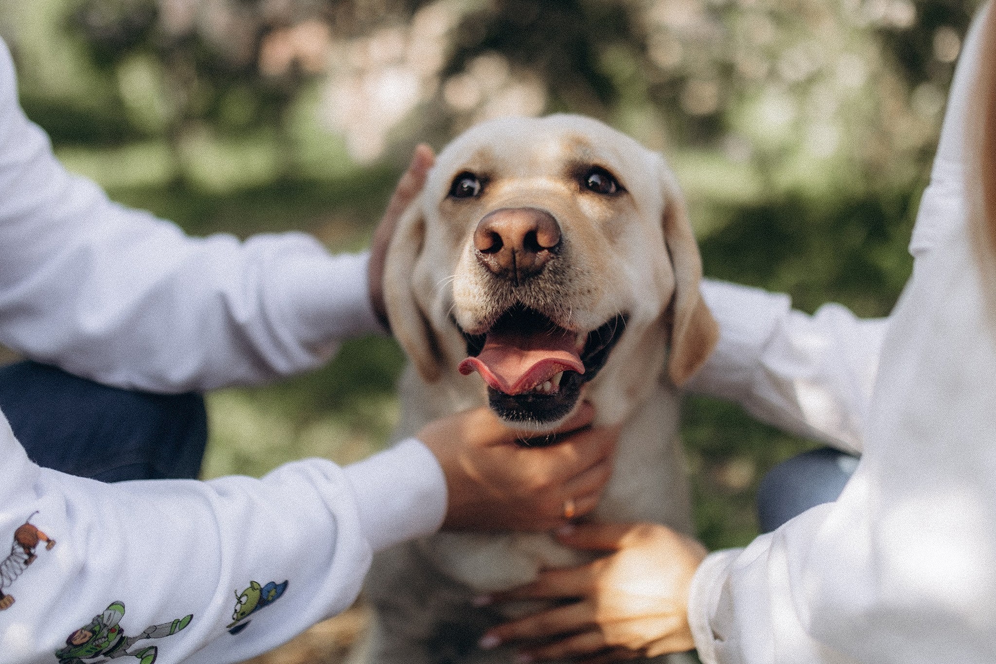 Родина Луни. Фотограф-анімаліст Київ