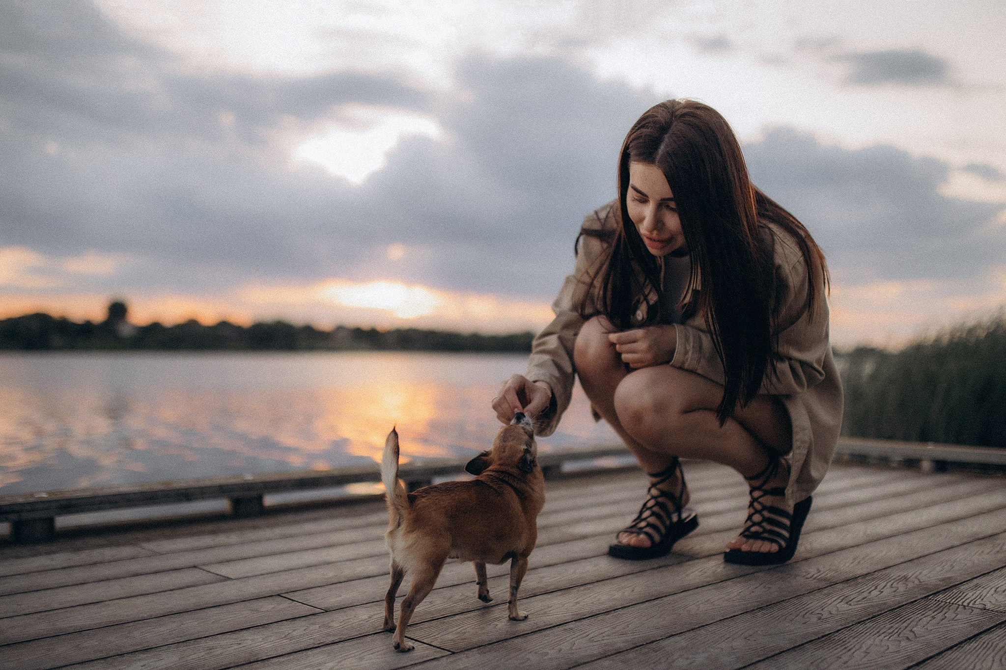 Флоріс та Міла. Фотограф-анімаліст Київ