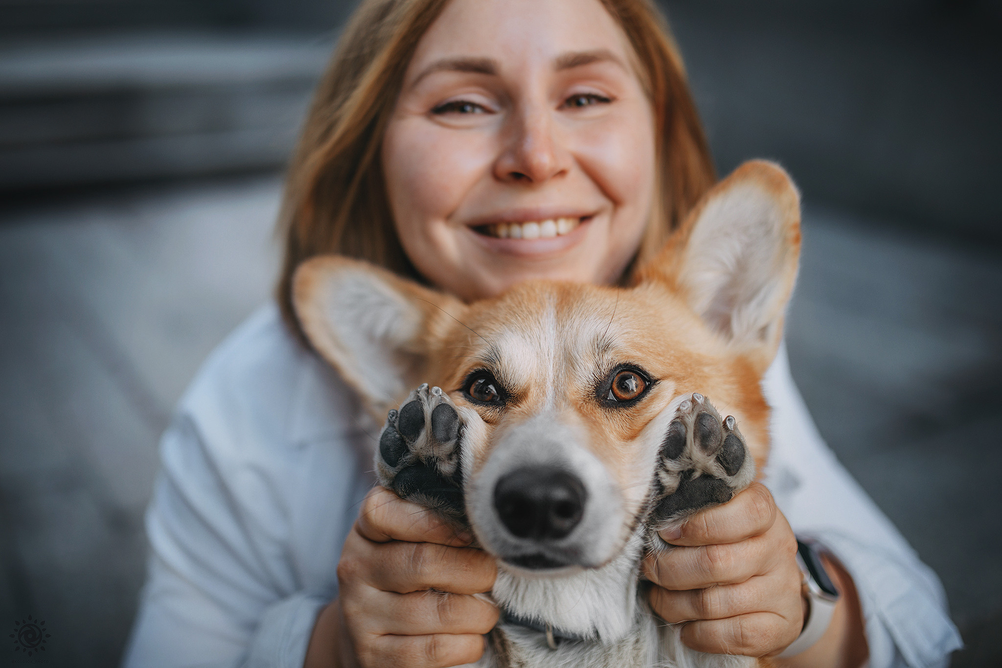 Родина Шерлока. Фотограф-анімаліст Київ