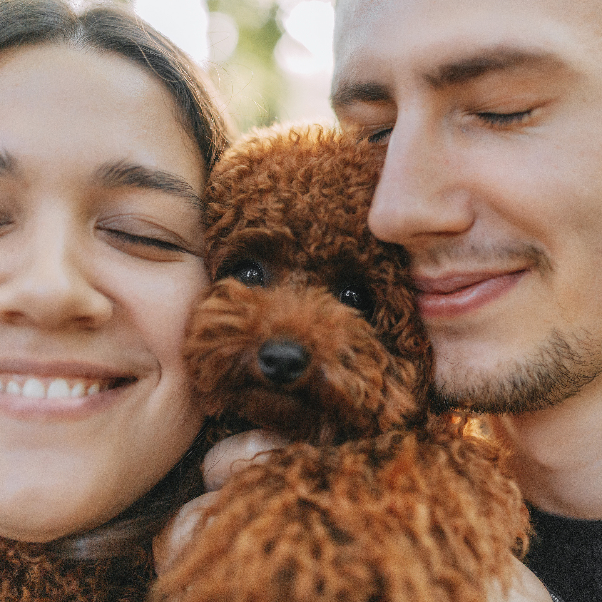 Родина Сьюзі. Фотограф-анімаліст Київ