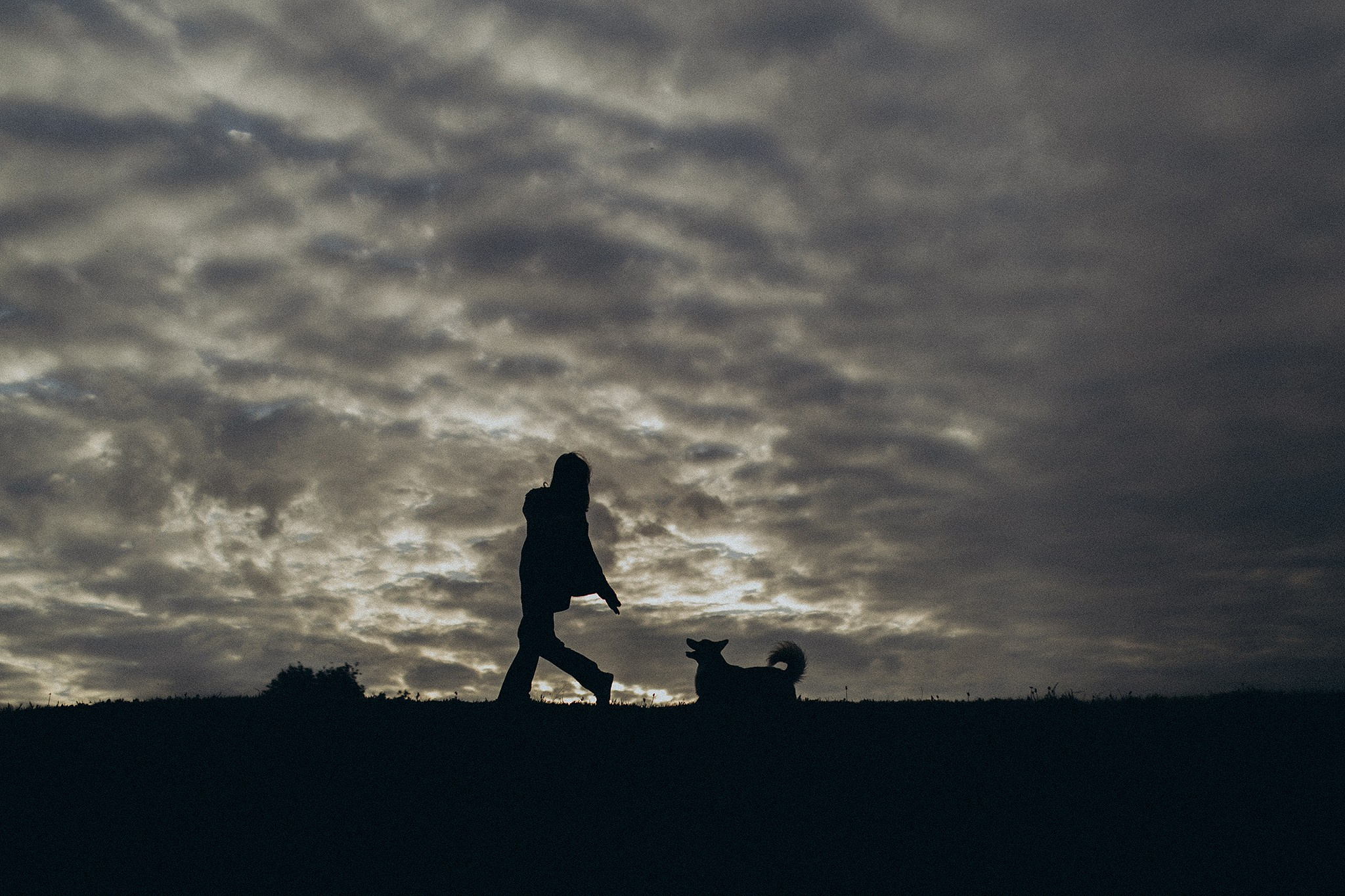 Руді та Ксюша. Фотограф-анімаліст Київ