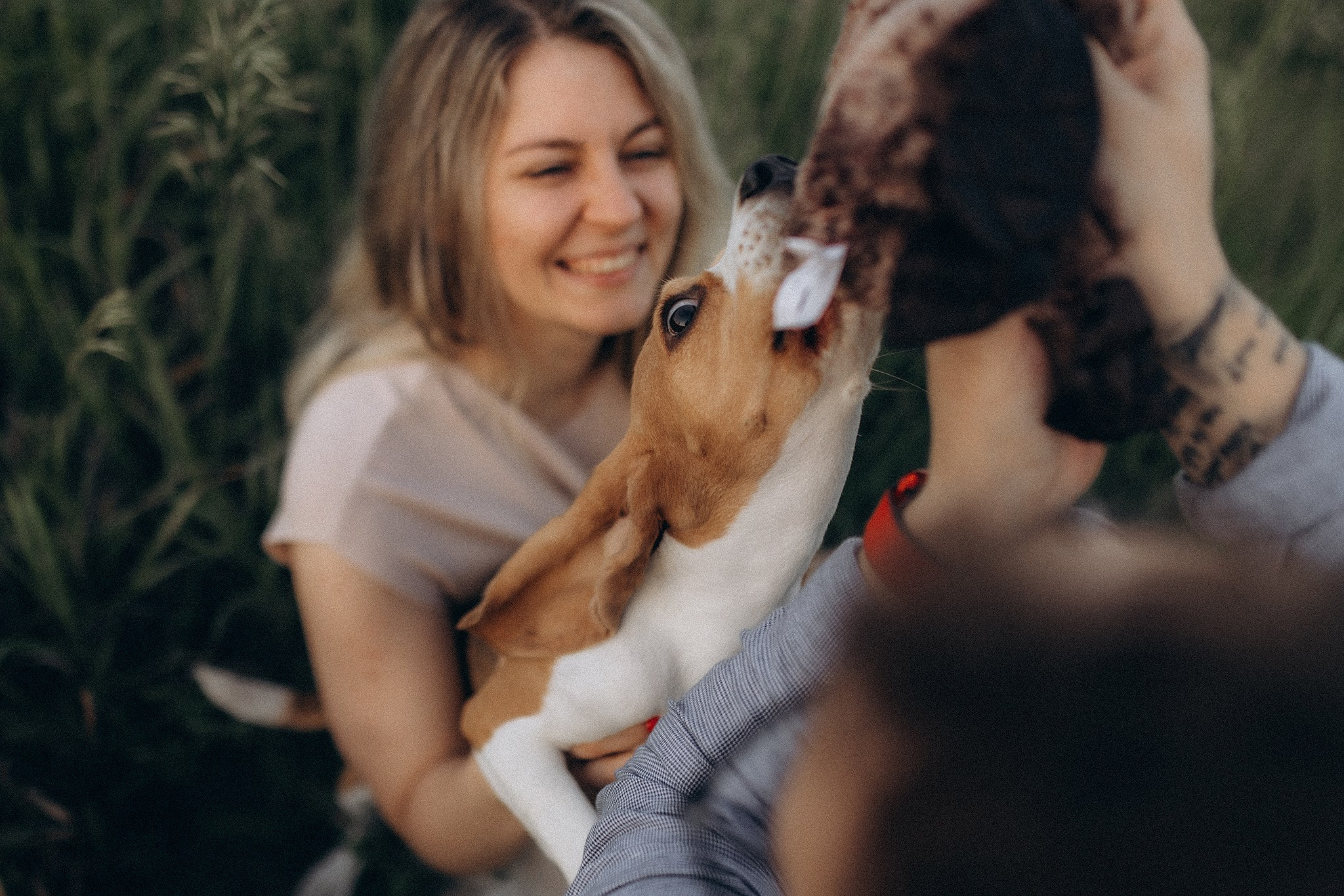 Родина Рей. Фотограф-анімаліст Київ