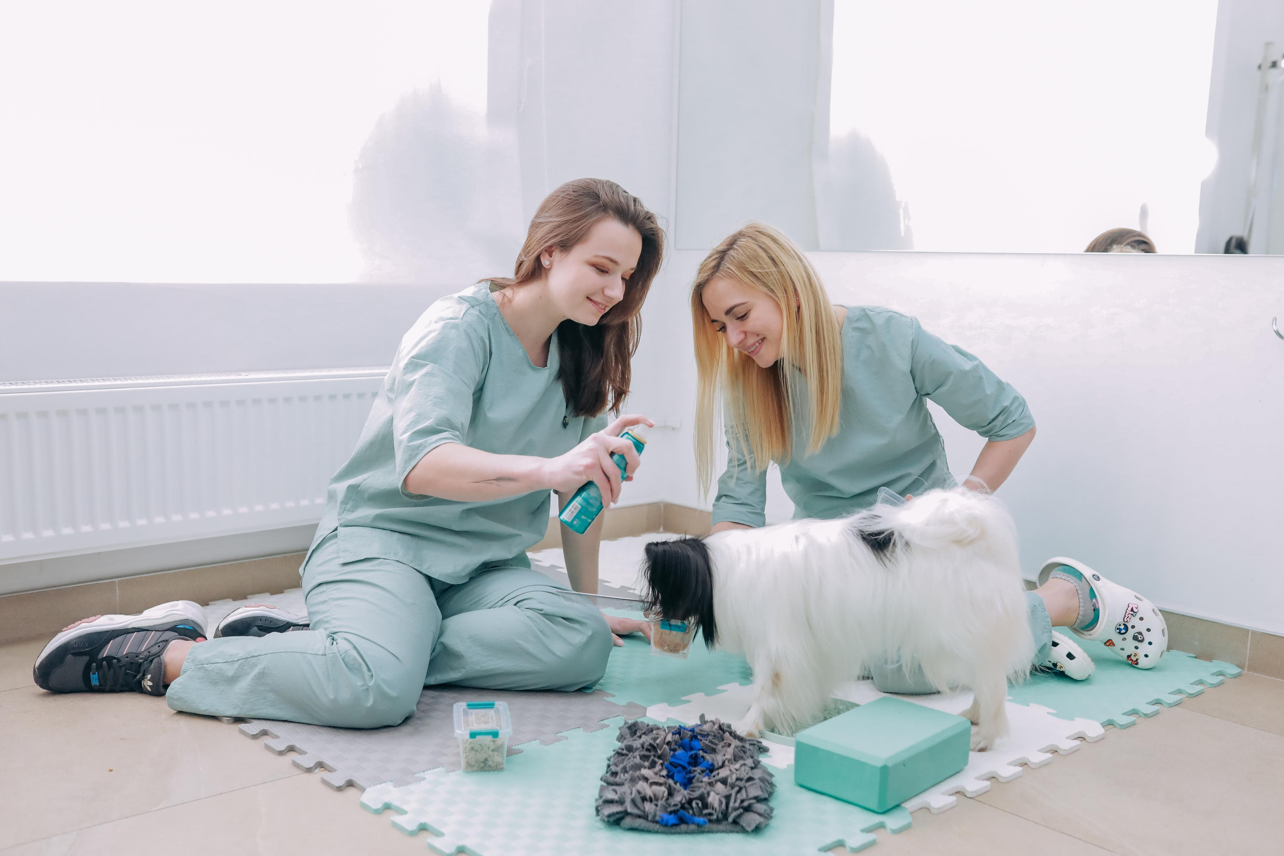 Hvist Hab. Фотограф-анімаліст Київ